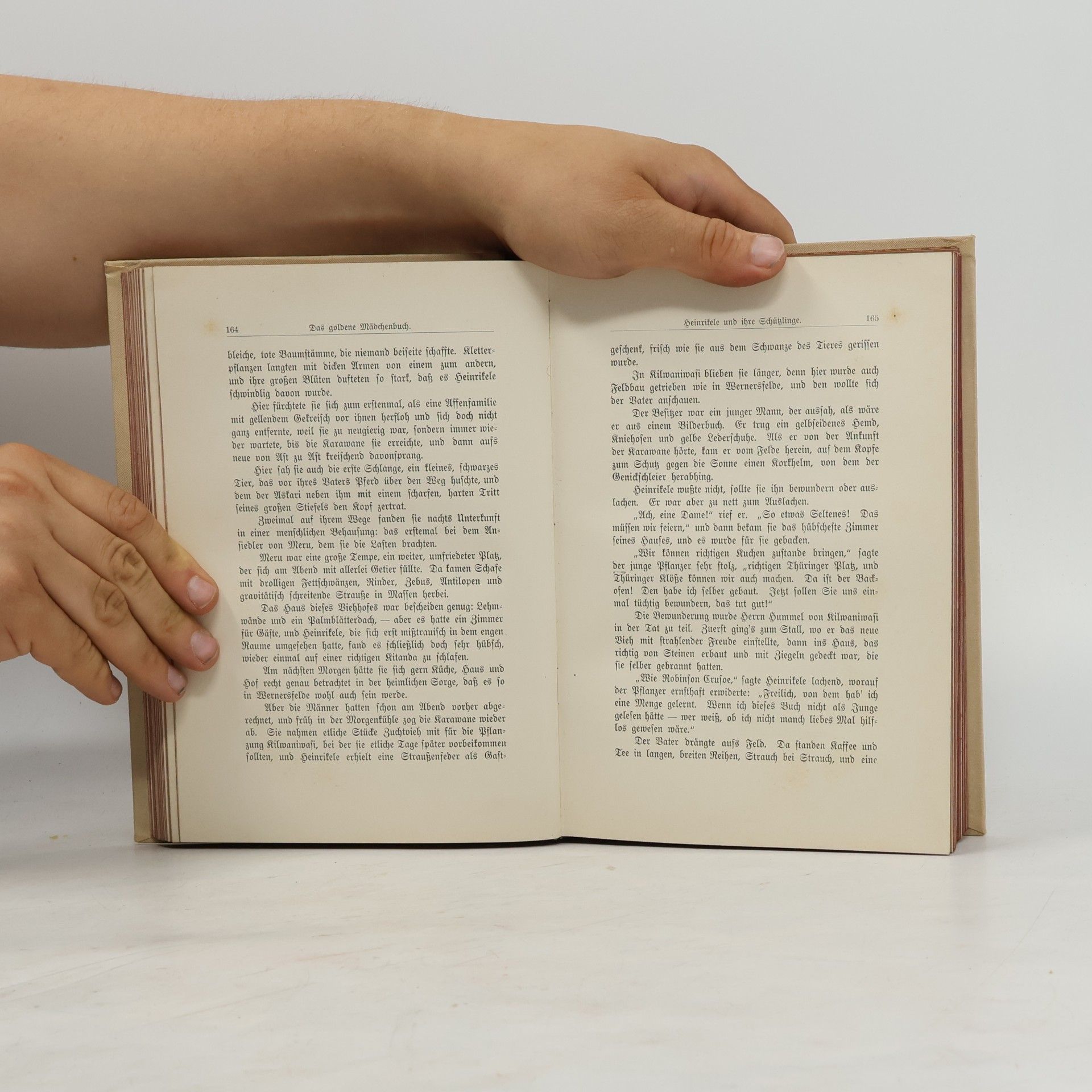 Friß Bergen Das goldene Mädchenbuch