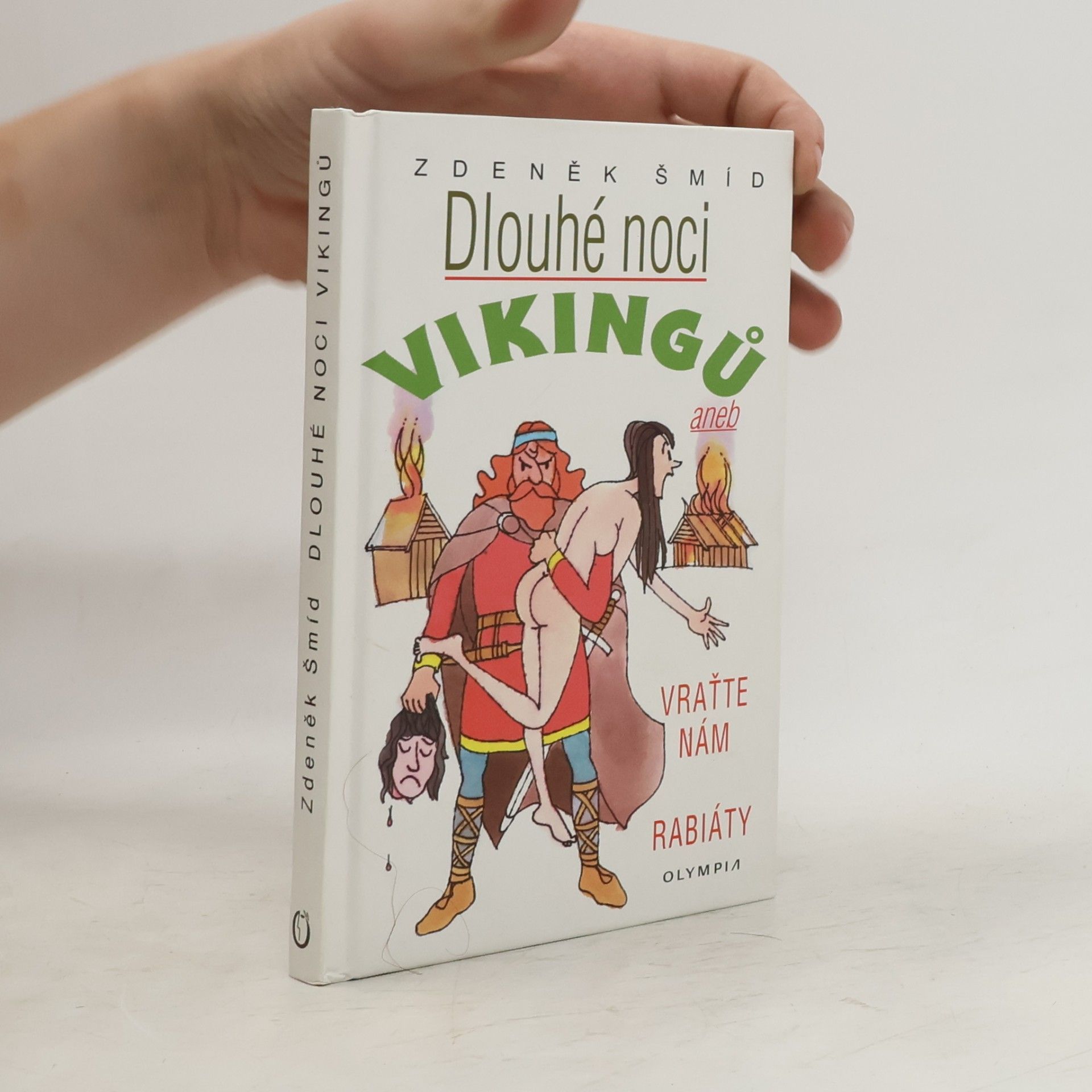 Dlouhé noci Vikingů aneb Vraťte nám rabiáty