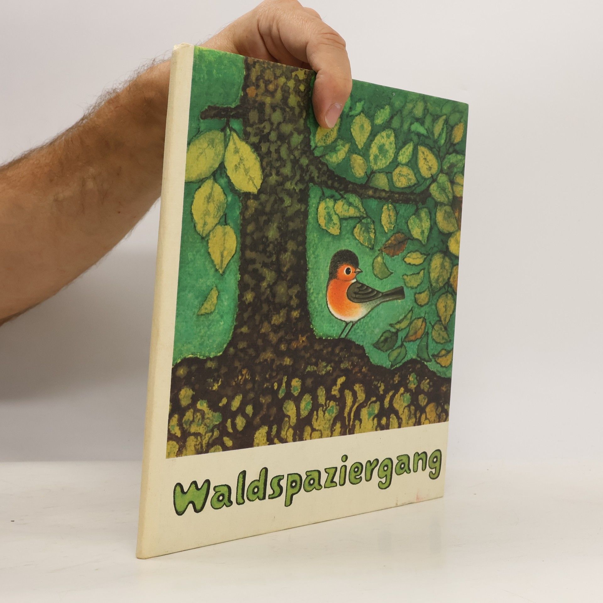 Eva Hinze Waldspaziergang