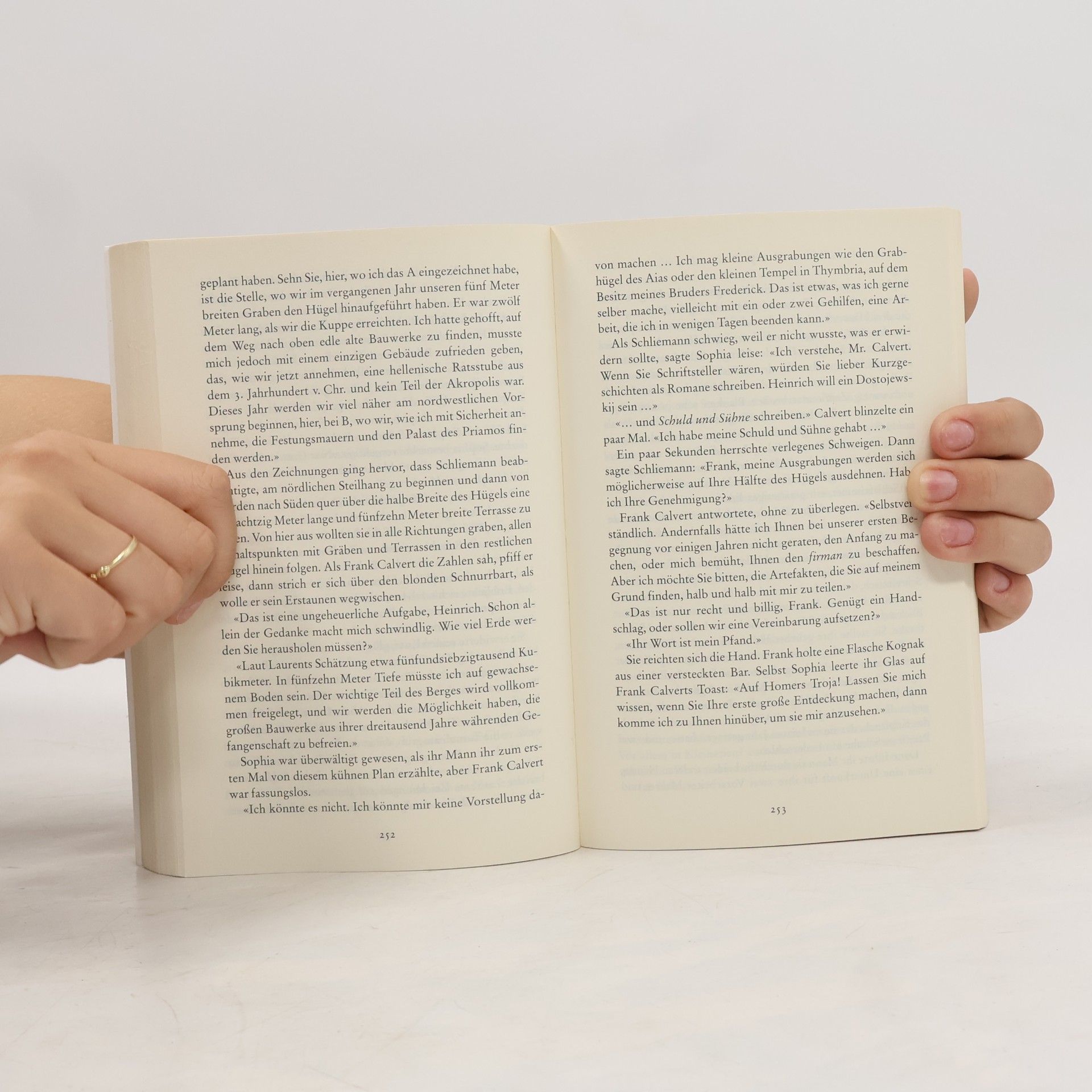 Irving Stone Der griechische Schatz