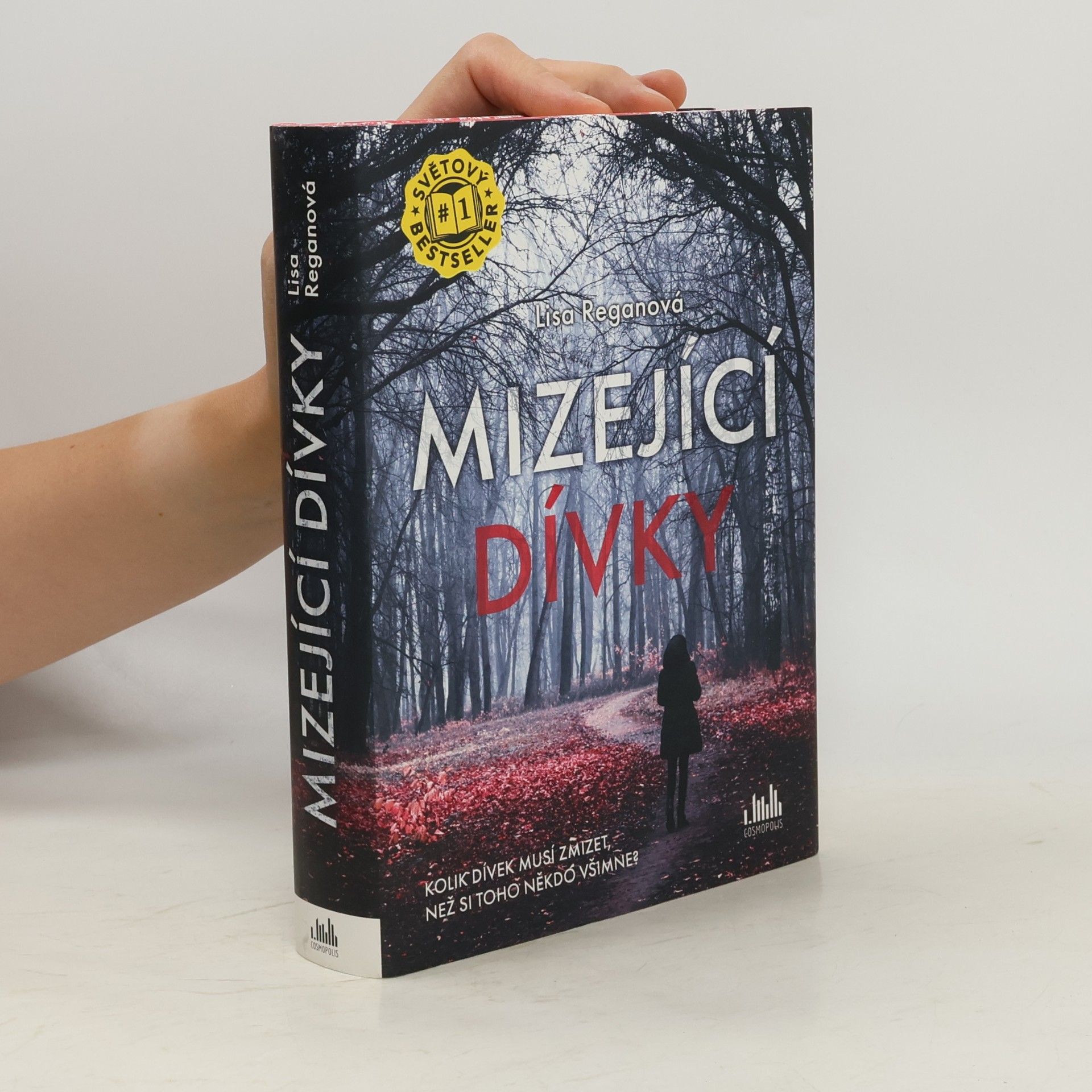 Lisa Regan Mizející dívky