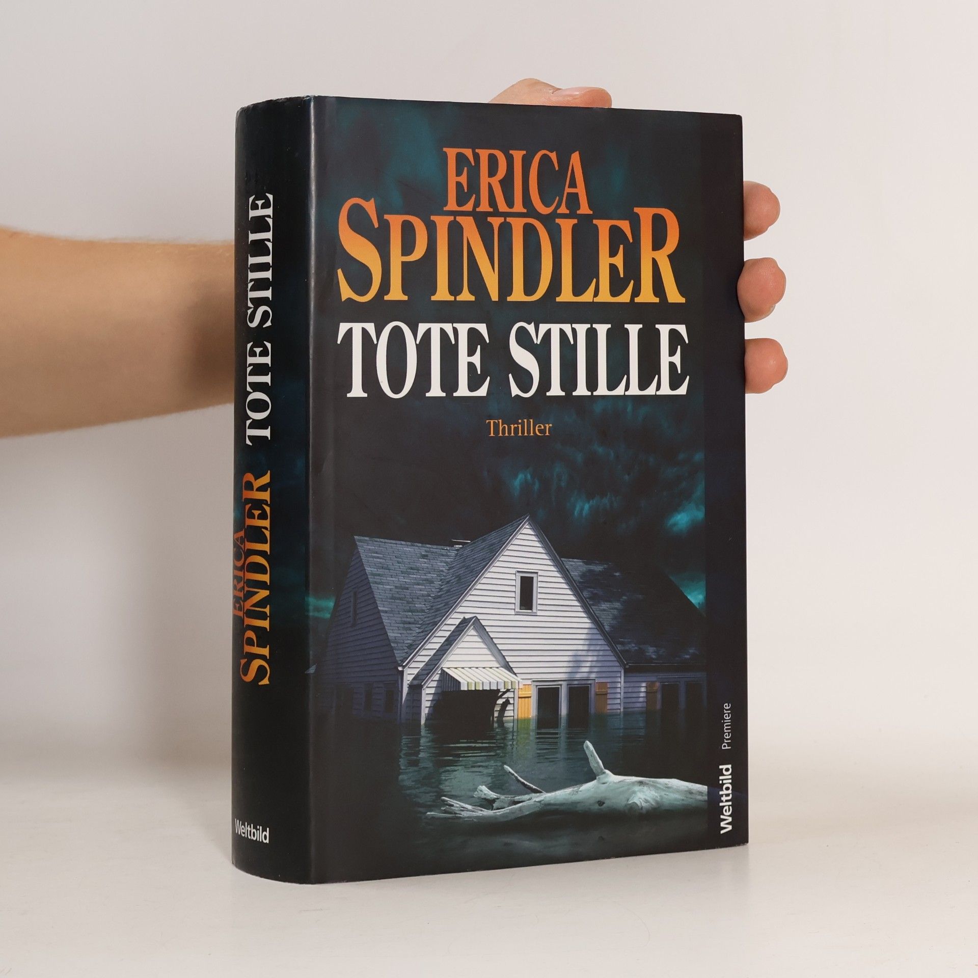 Erica Spindler Tote Stille