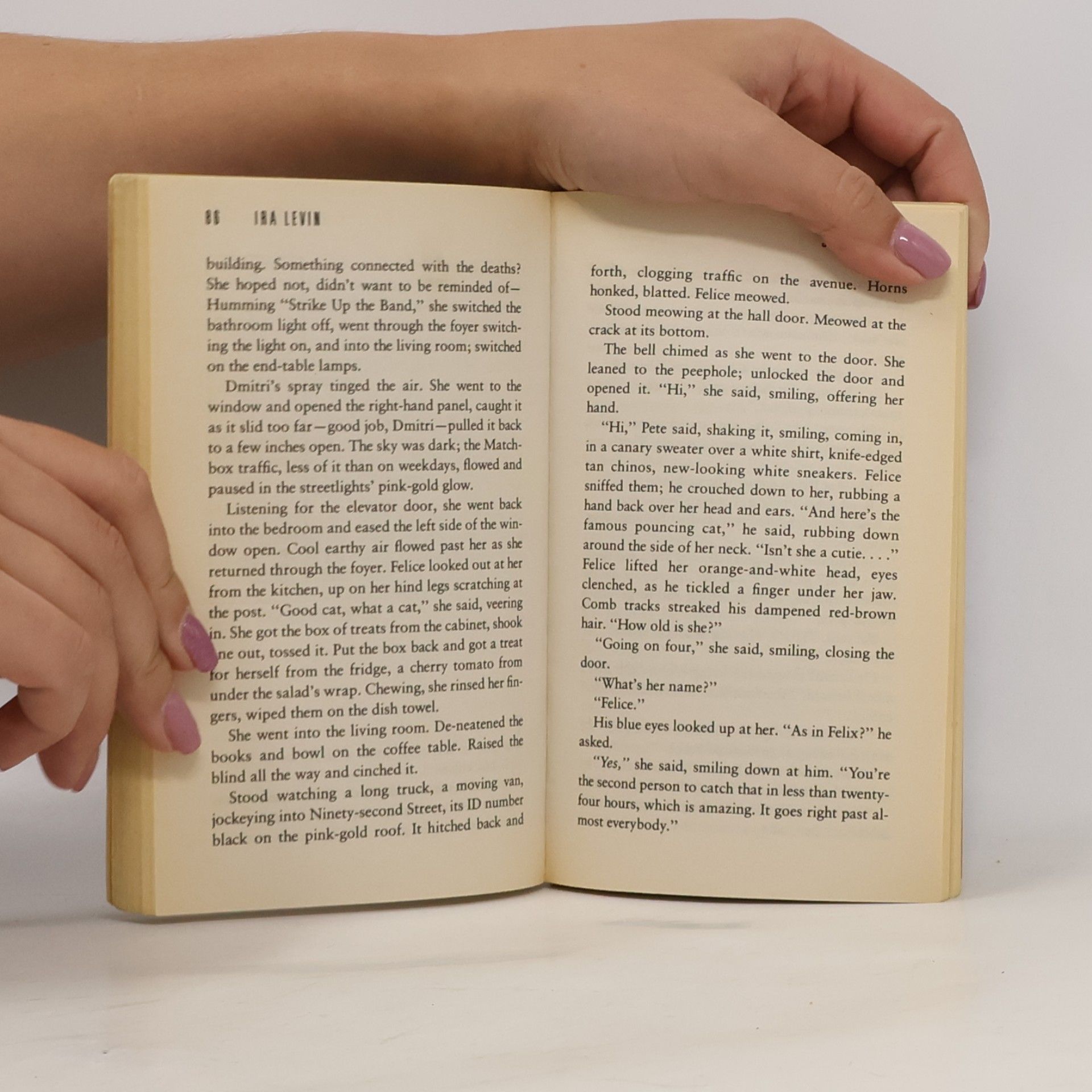 Ira Levin Sliver