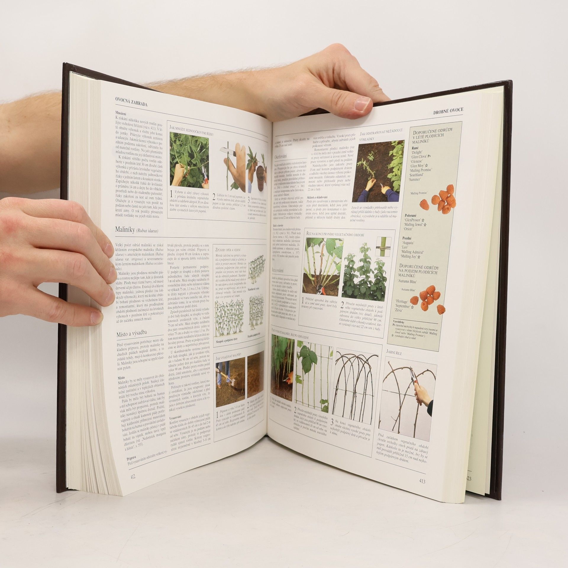 Various authors Velká zahrádkářská encyklopedie