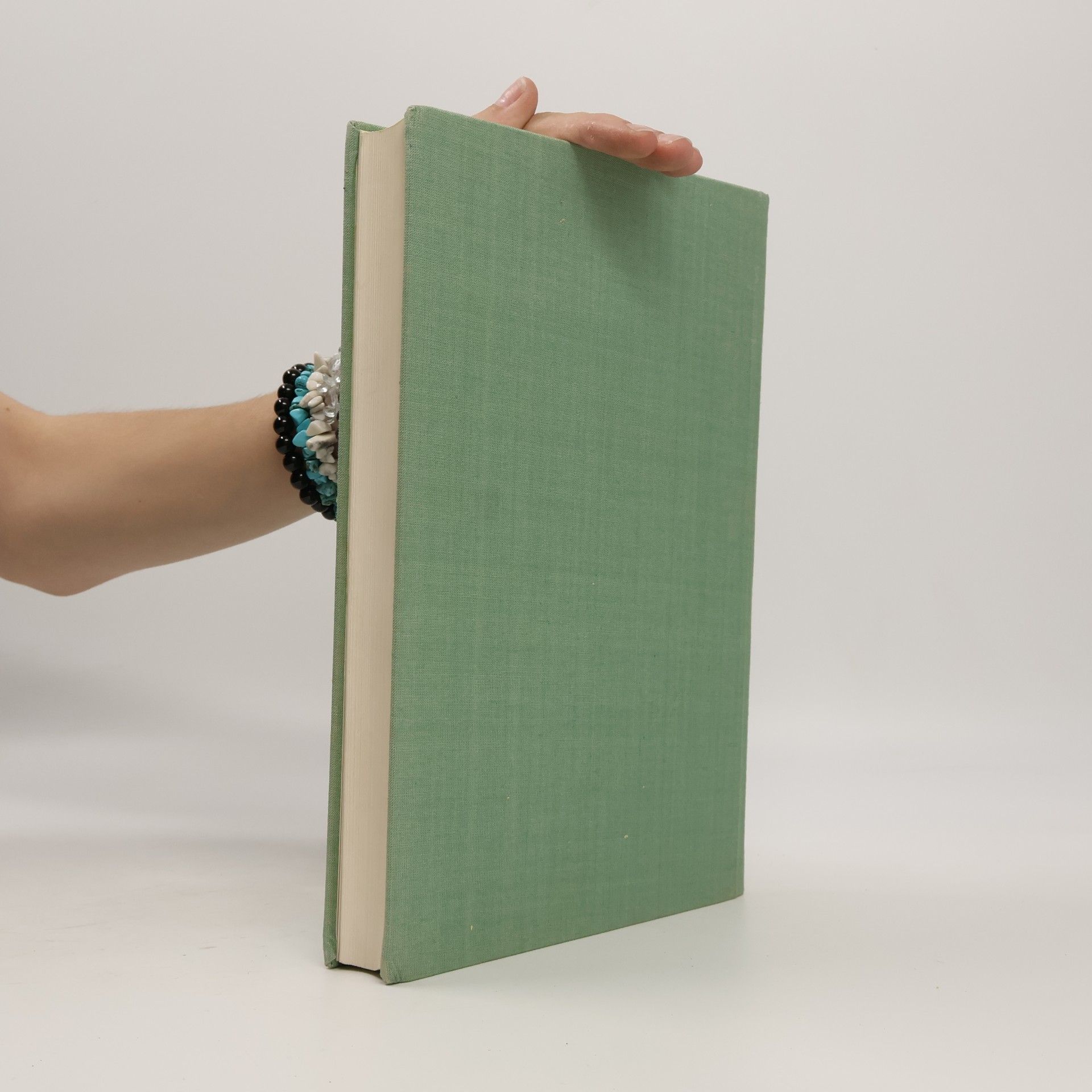 Ruth Seydewitz Das Dresdener Galeriebuch