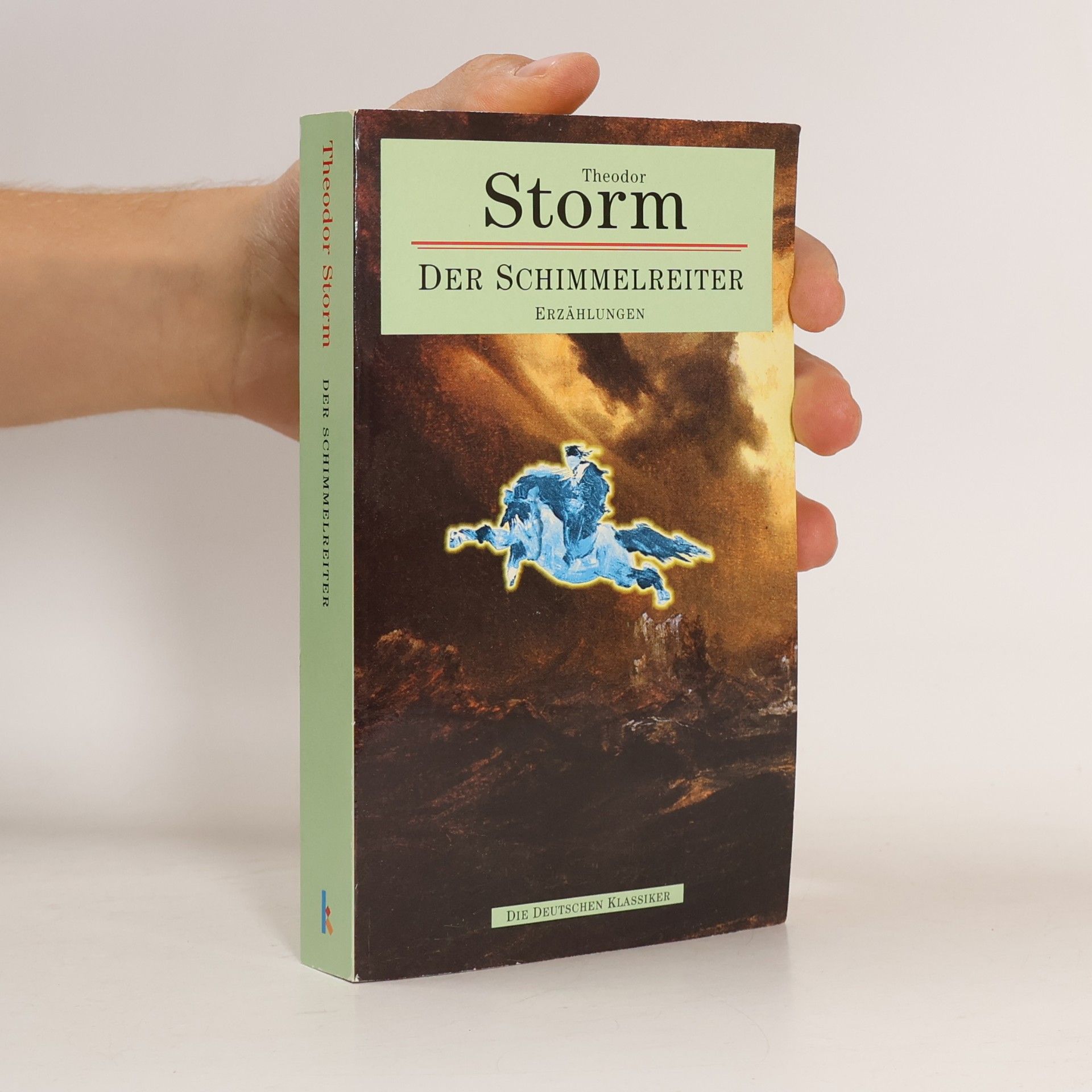 Theodor Storm Der Schimmelreiter. Erzählungen