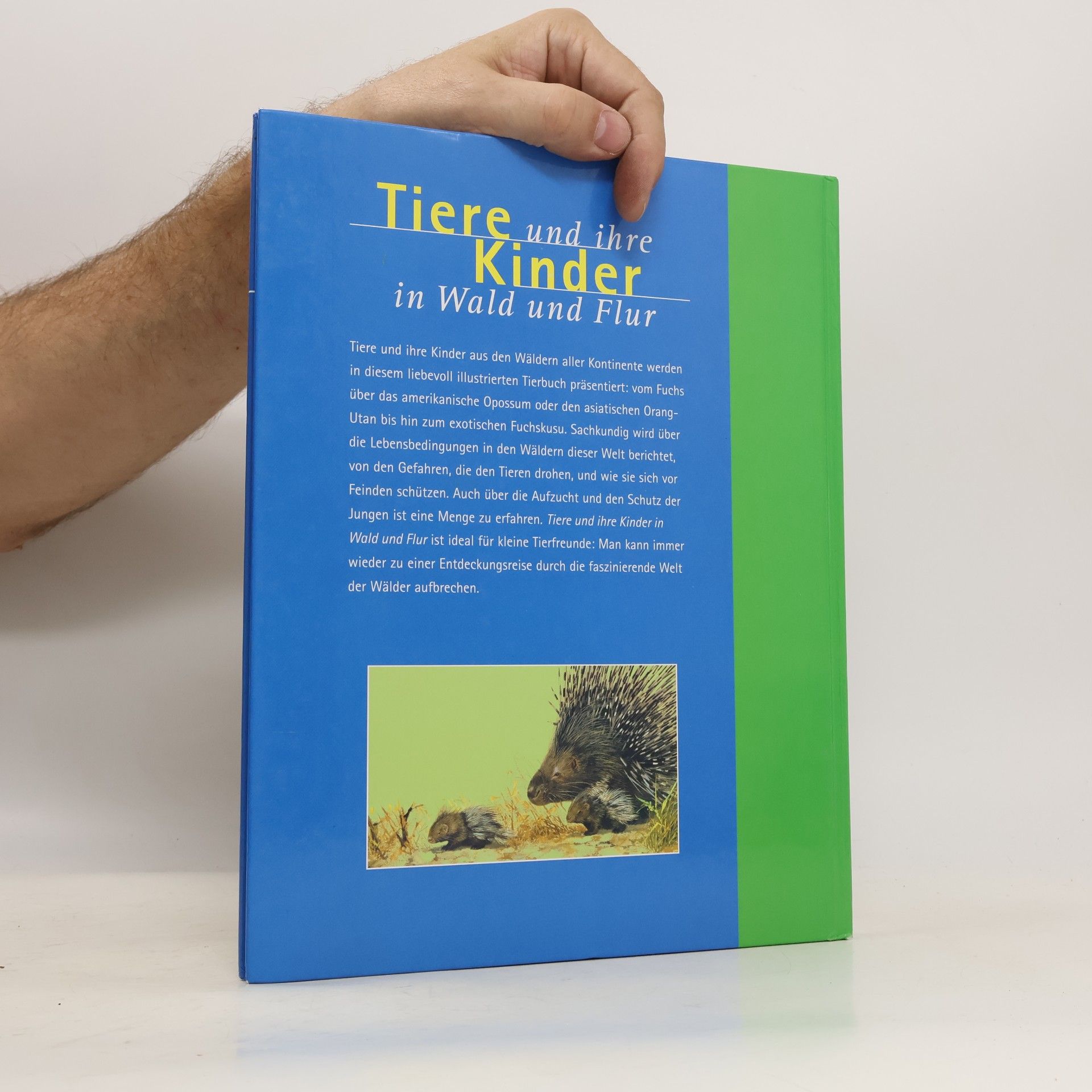 Autorenkollektiv Tiere und ihre Kinder in Wald und Flur