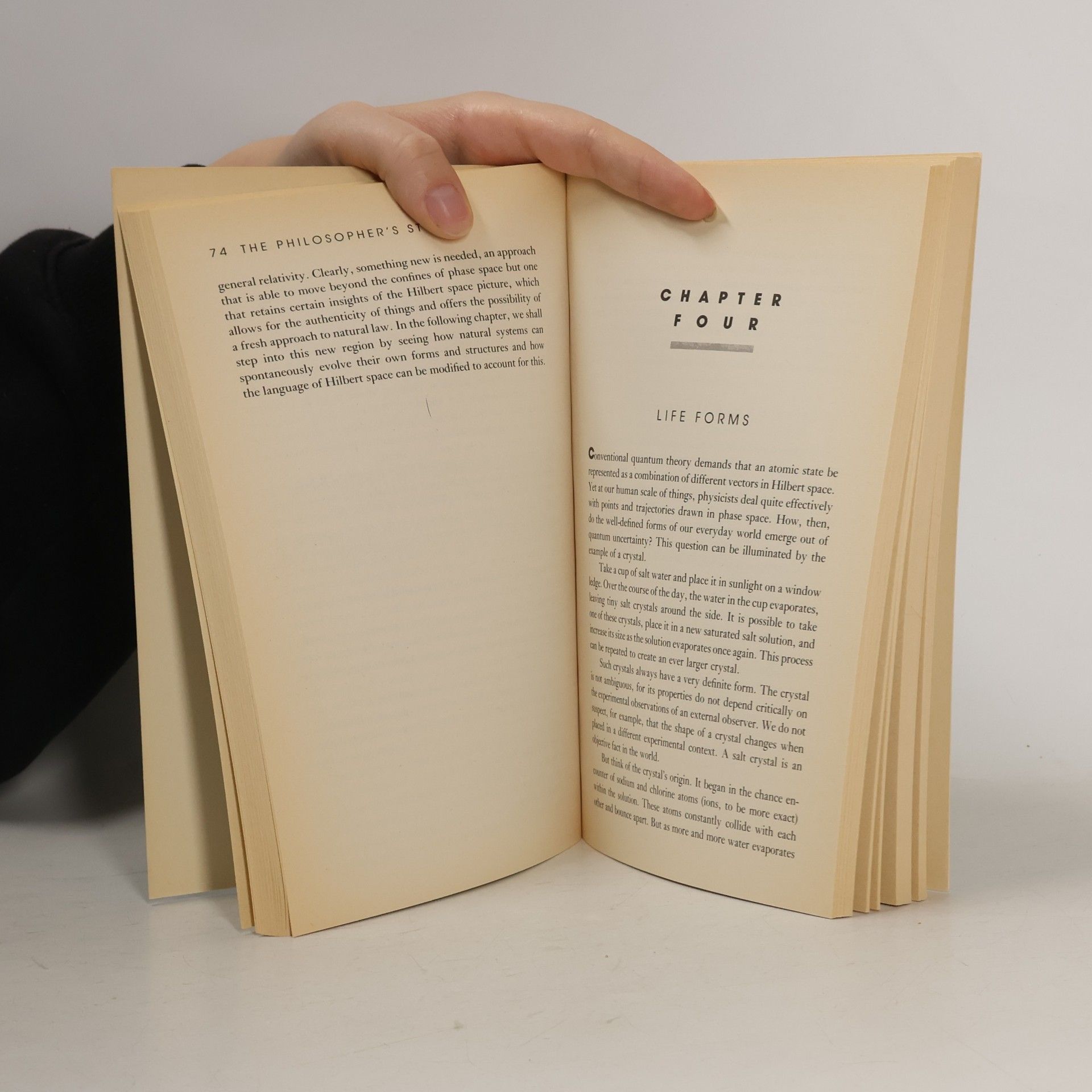 F. David Peat The Philosopher's Stone