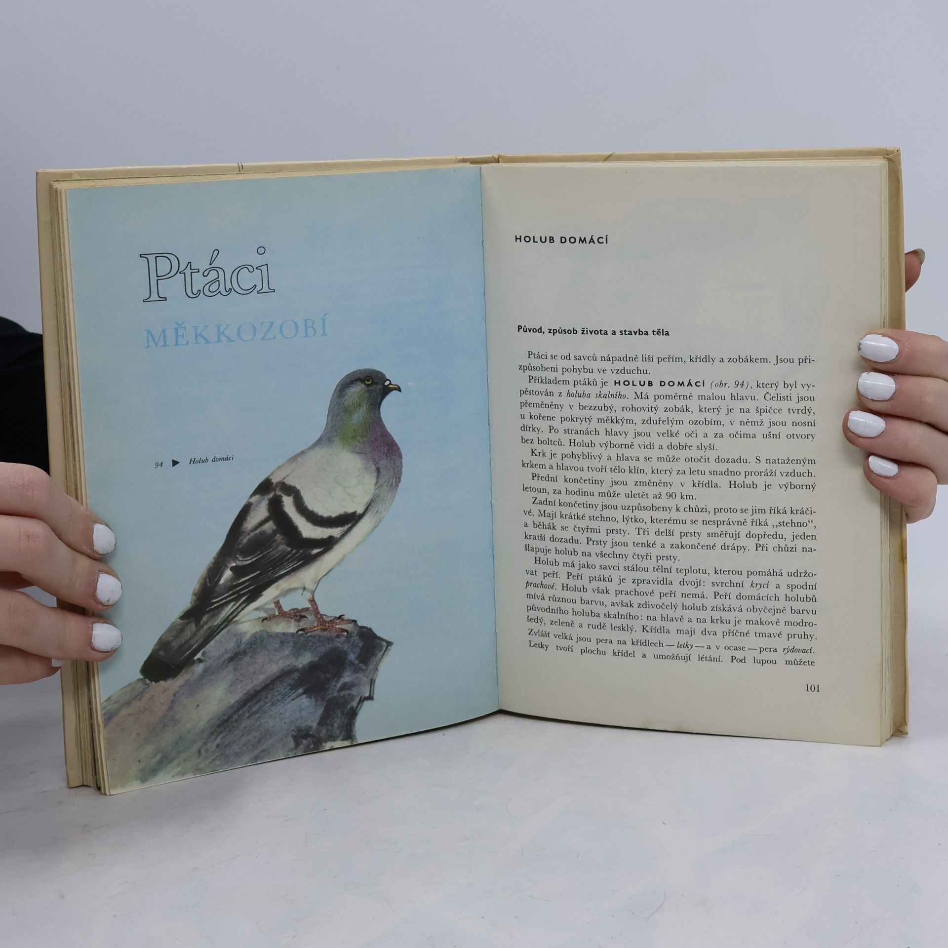 Jindřich Roubal Zoologie pro 6. ročník základních devítiletých škol