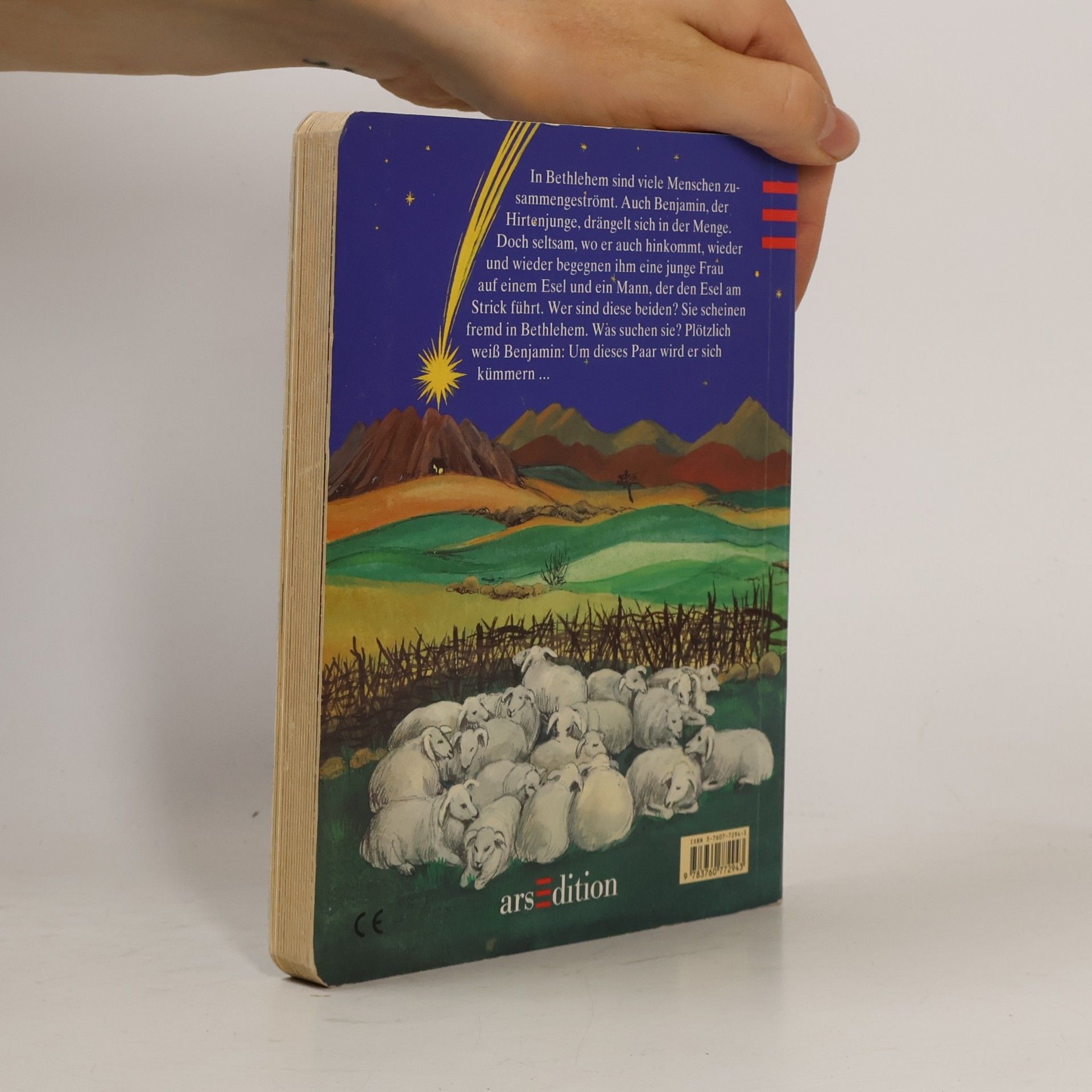 Judith Steinbacher Benjamins Weihnachtsgeschichte