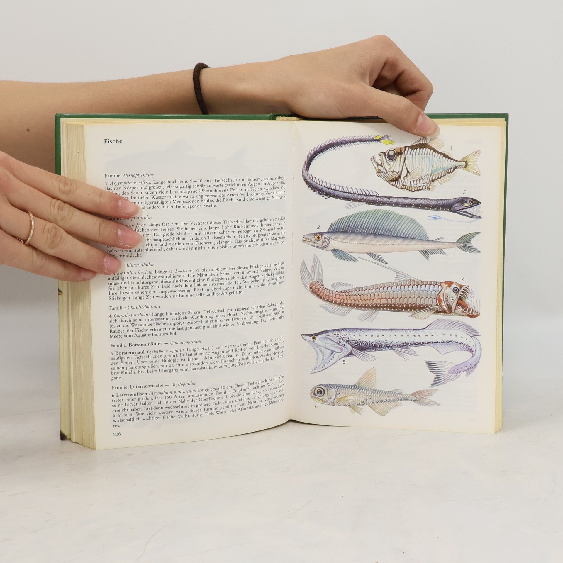Jiří Zahradník Der Kosmos-Tierführer : Ein Bestimmungsbuch mit 1092 Farbbildern