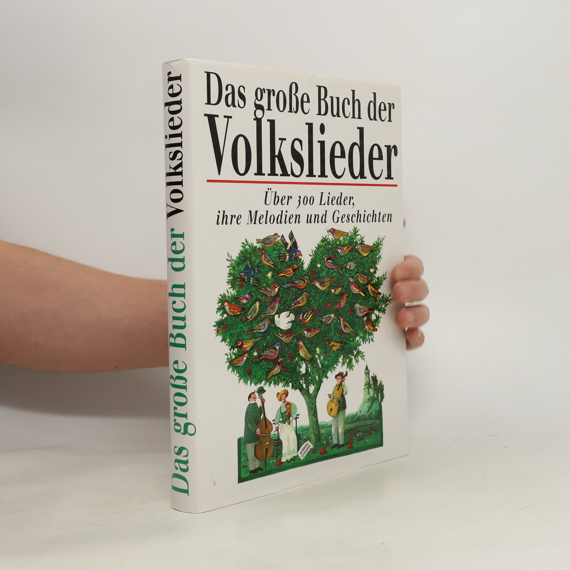 Collectif d'auteurs Das große Buch der Volkslieder