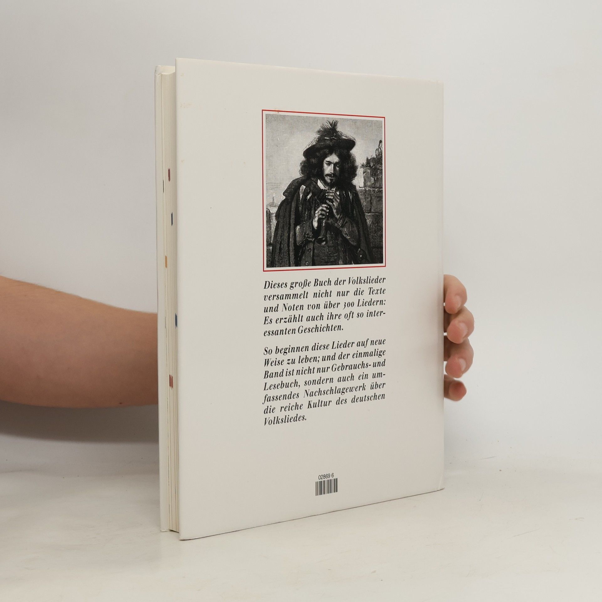 Collectif d'auteurs Das große Buch der Volkslieder