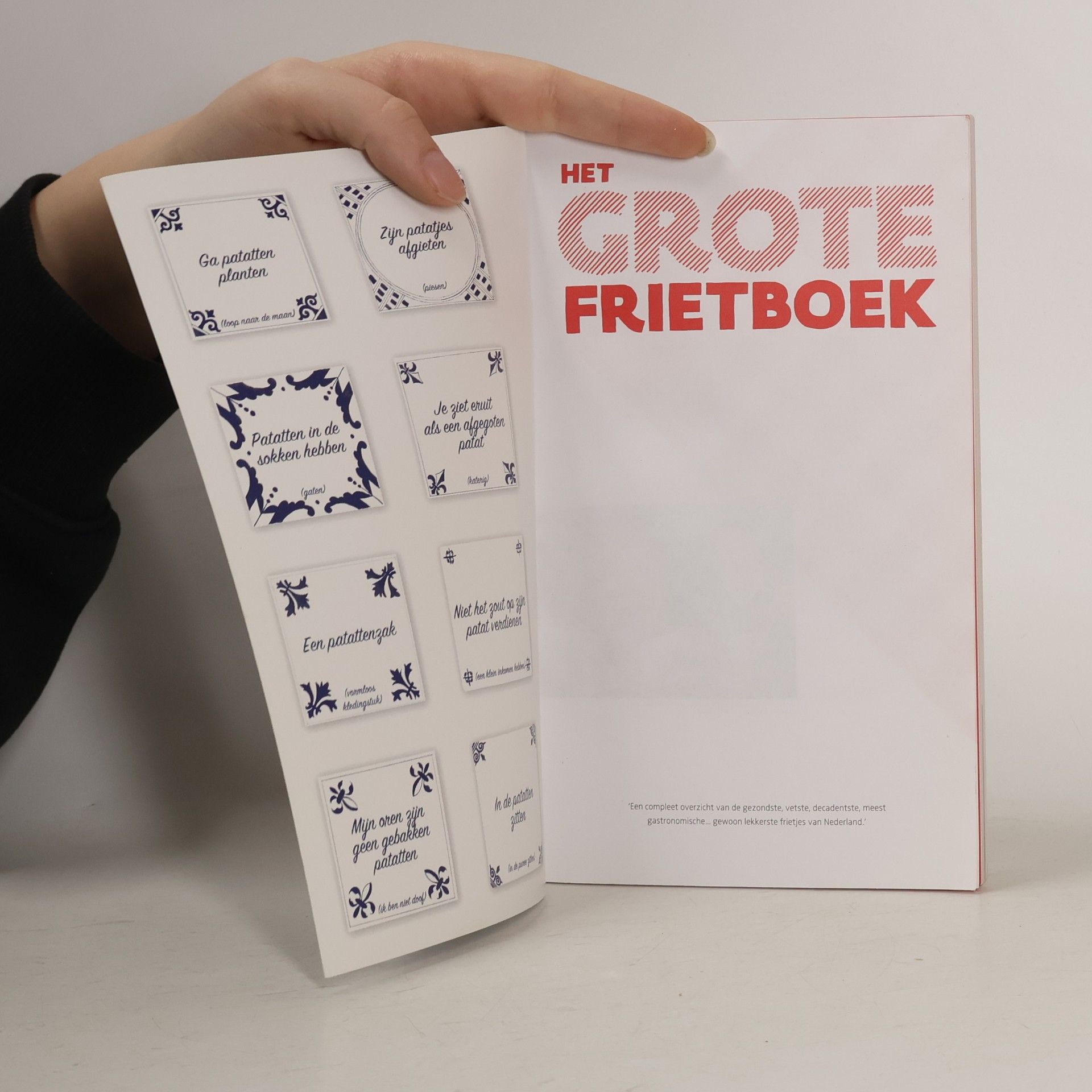 Ed&Ed Het Grote Frietboek