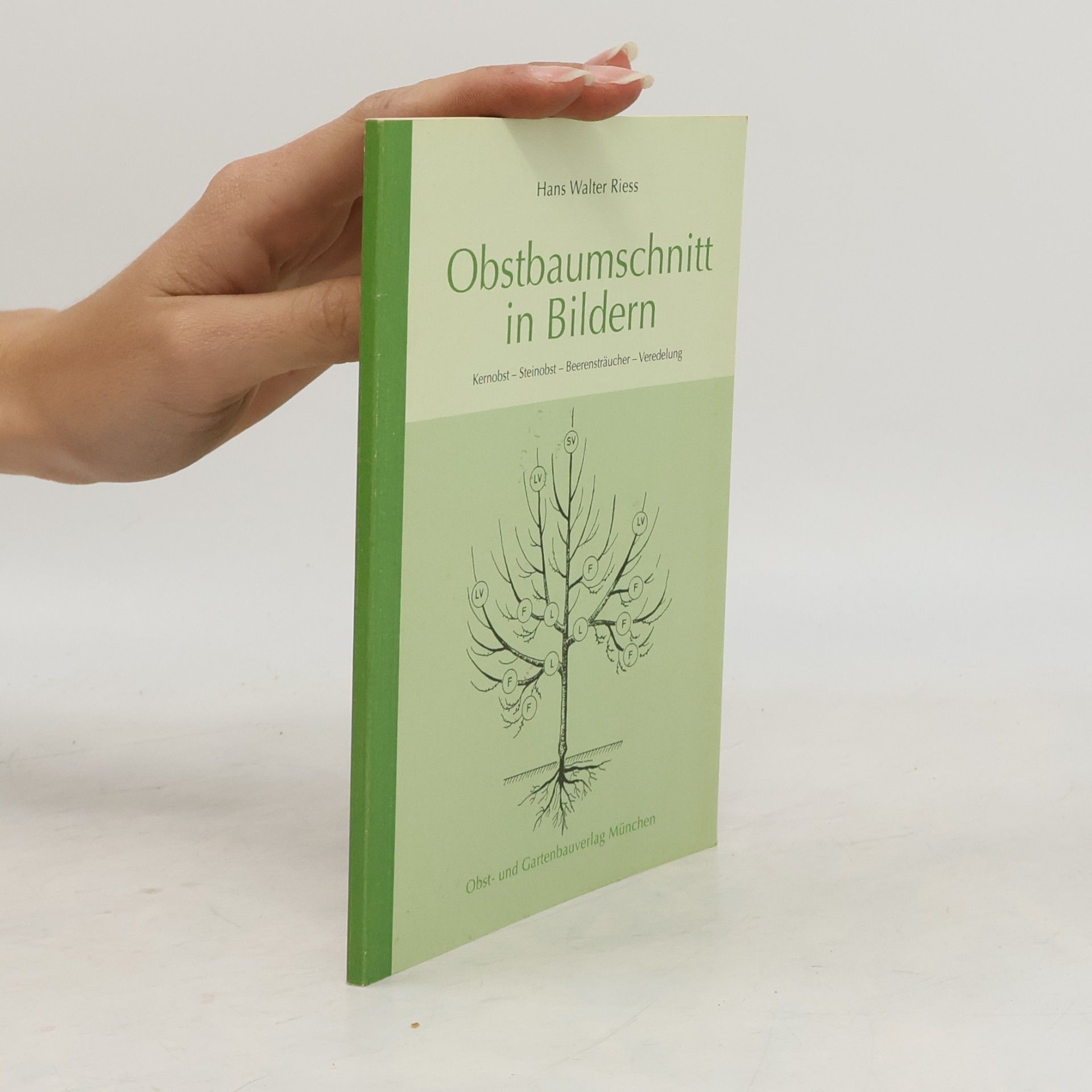 Obstbaumschnitt in Bildern