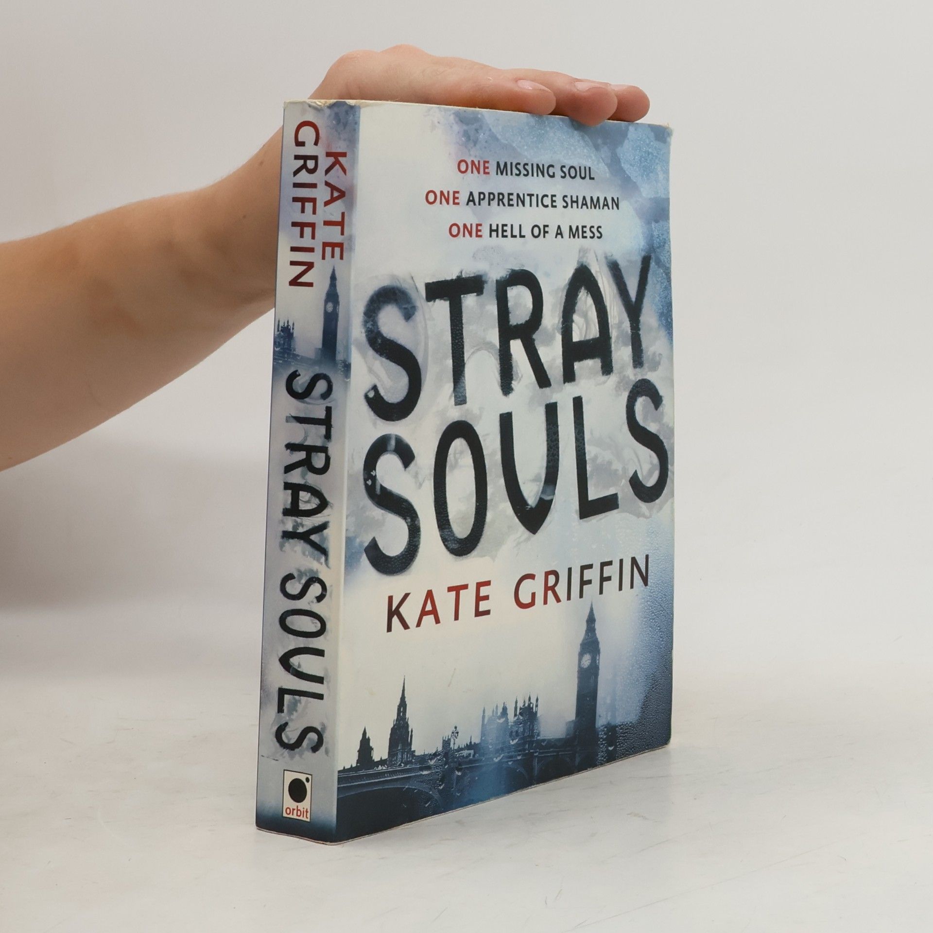 Kate Griffin Stray Souls