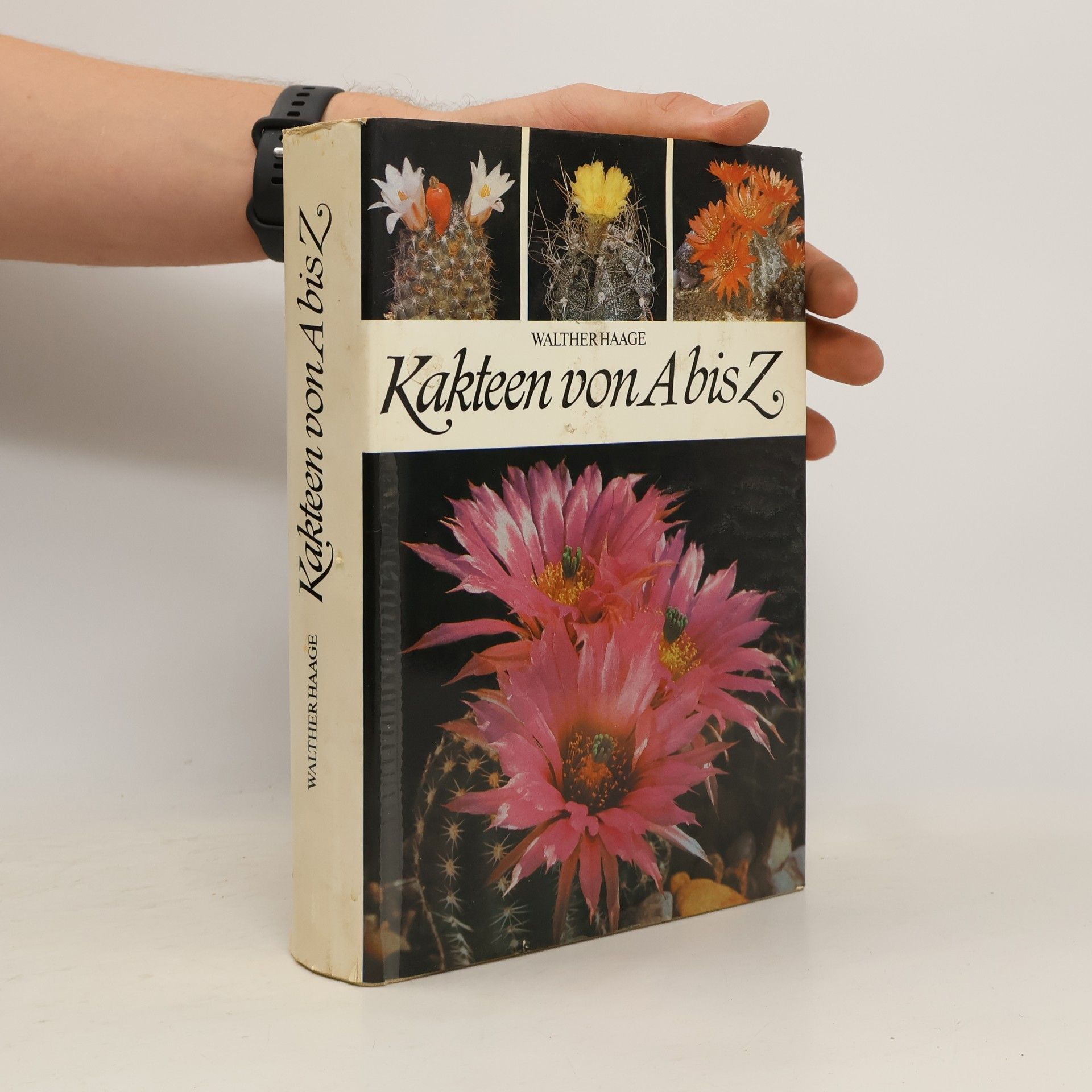 Walther Haage Kakteen von A bis Z