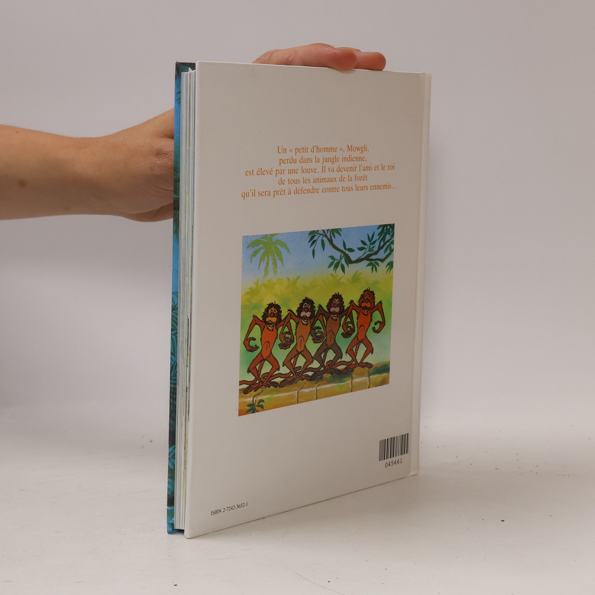 Andre Van Gool Le livre de la jungle