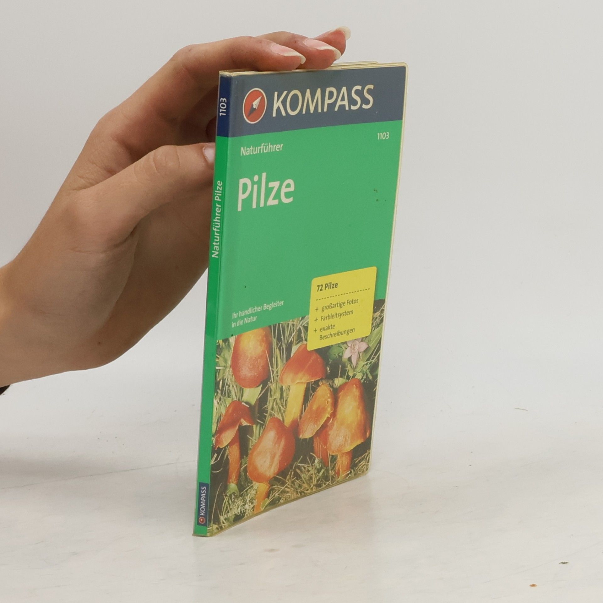 Christine Jaitner Pilze sehen und verstehen