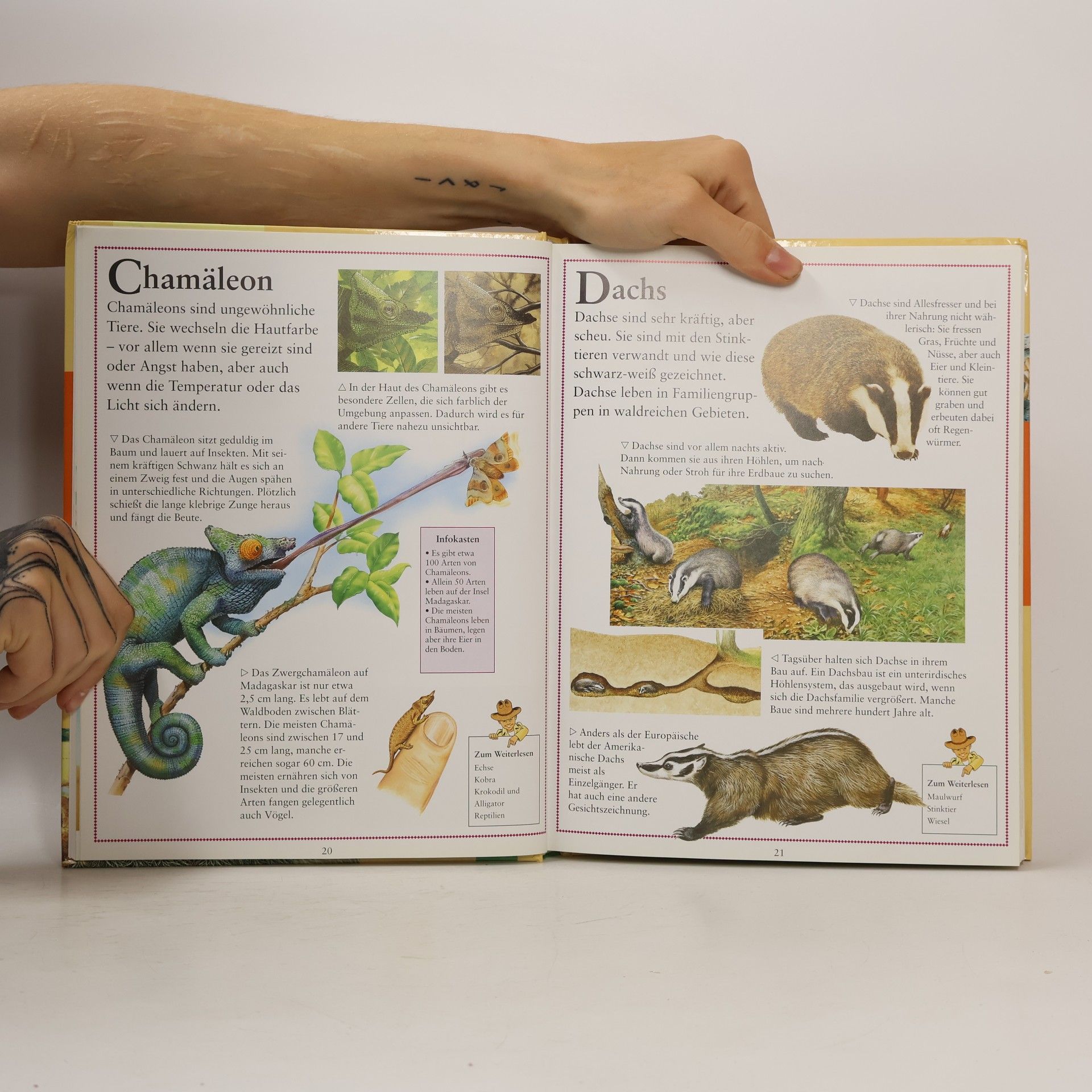 Kolektiv autorů Tierlexikon für Kinder