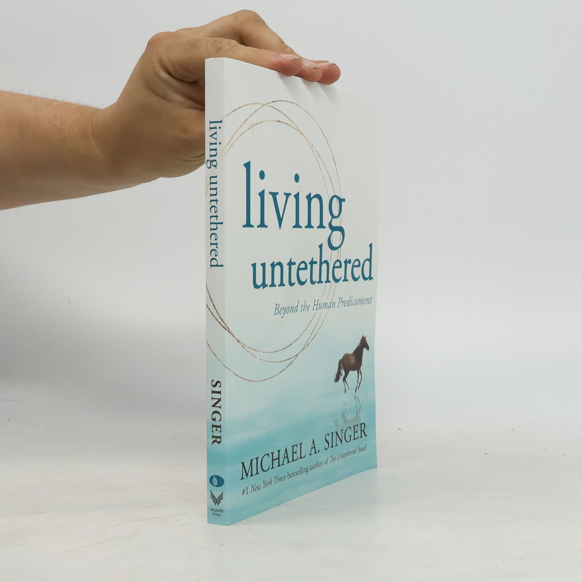 Michael Alan Singer Living Untethered