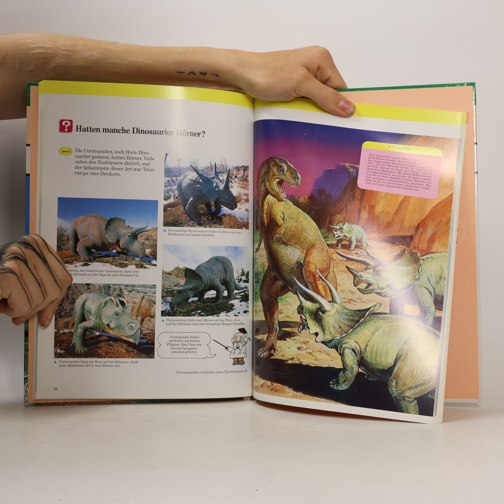 Autorenkollektiv Die Welt der Dinosaurier