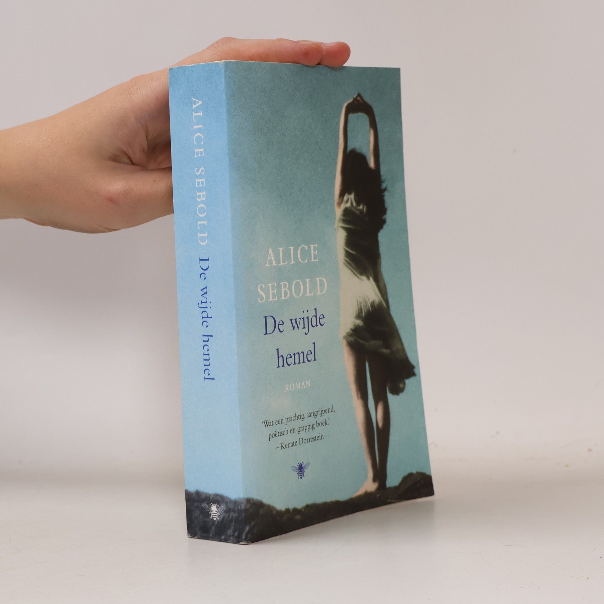 Alice Sebold De wijde hemel