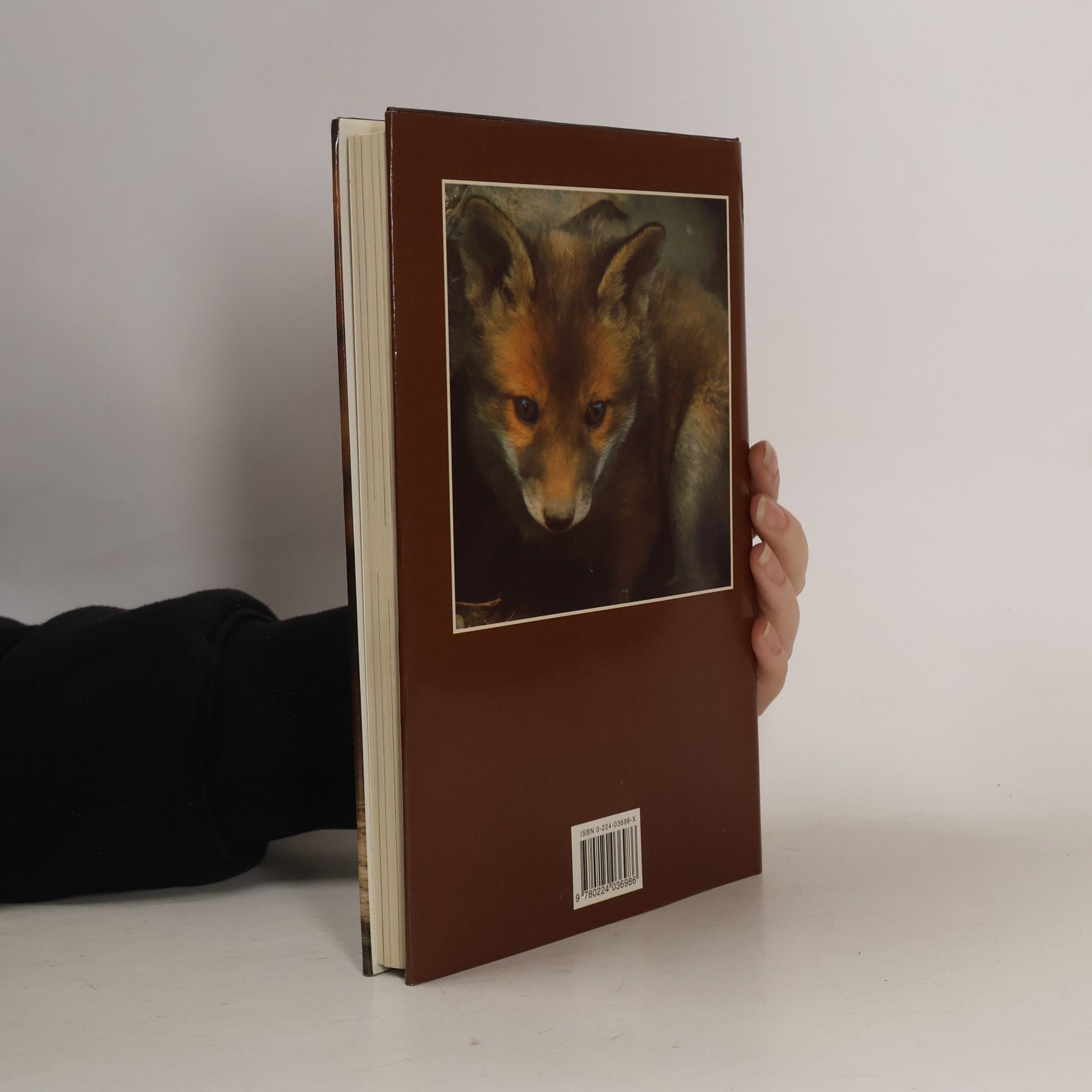 Bridget MacCaskill The Blood Is Wild