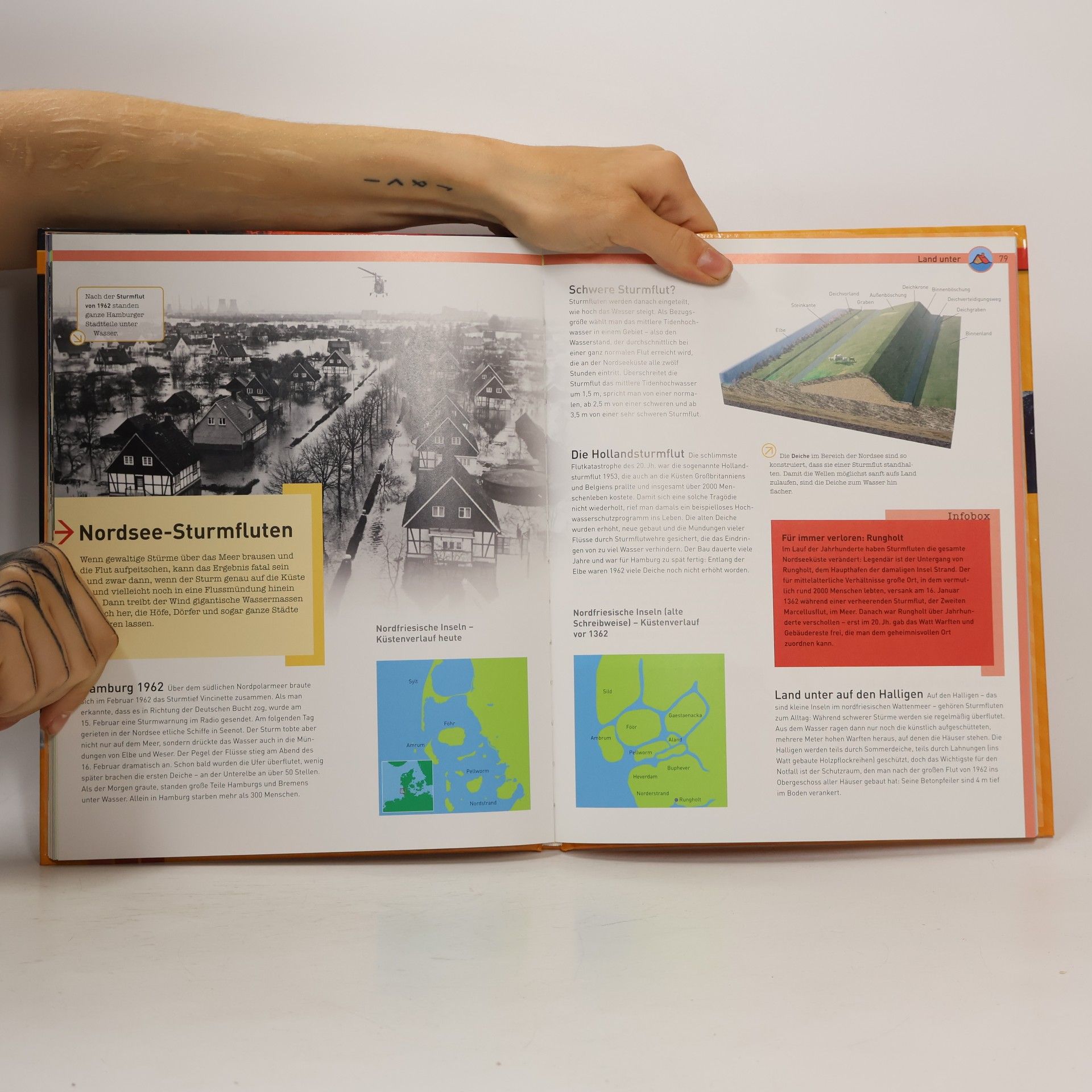 Collectif d'auteurs Naturgewalten