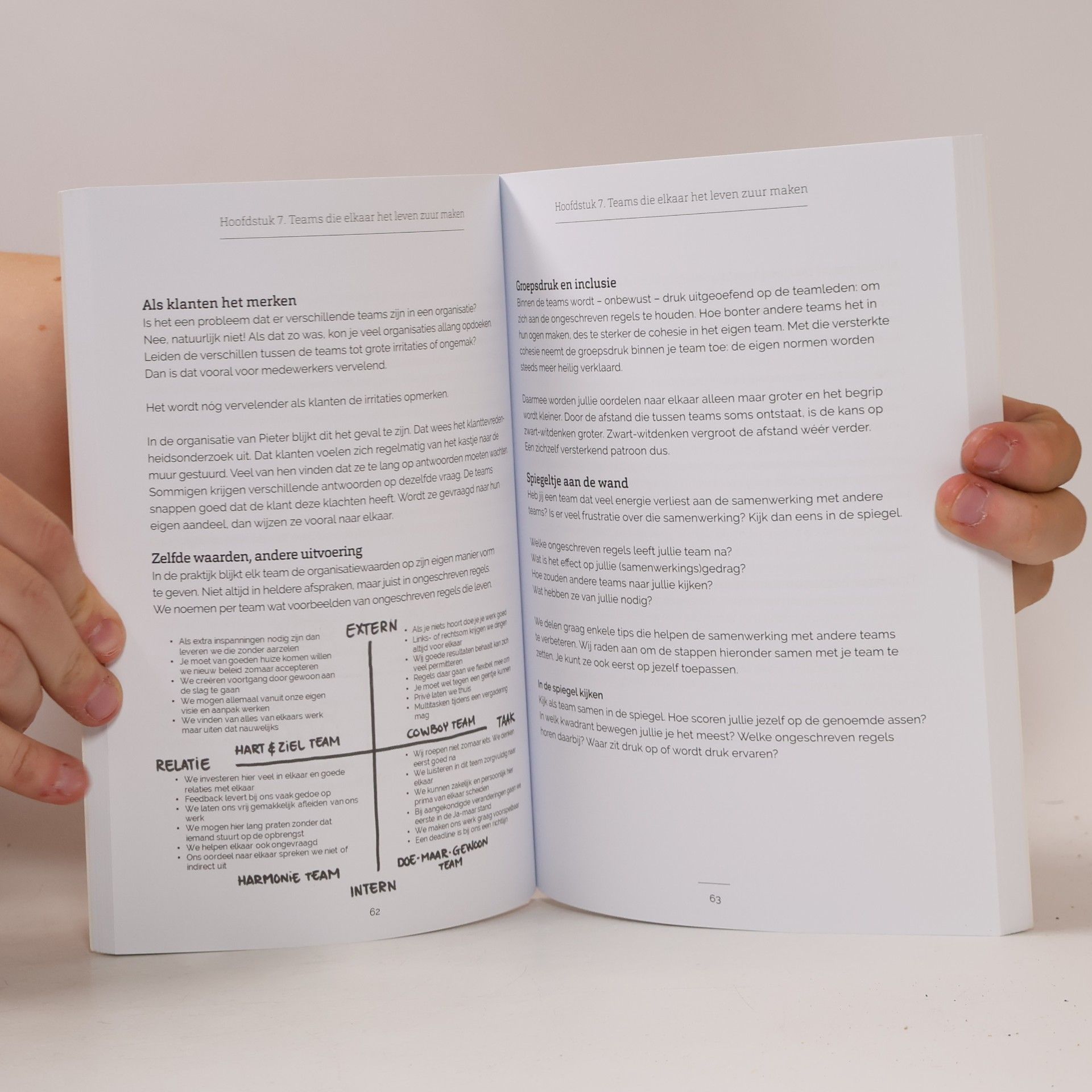 Annemieke Figee Samenwerken voor gevorderden: Hoe je van elke samenwerking een succes maakt