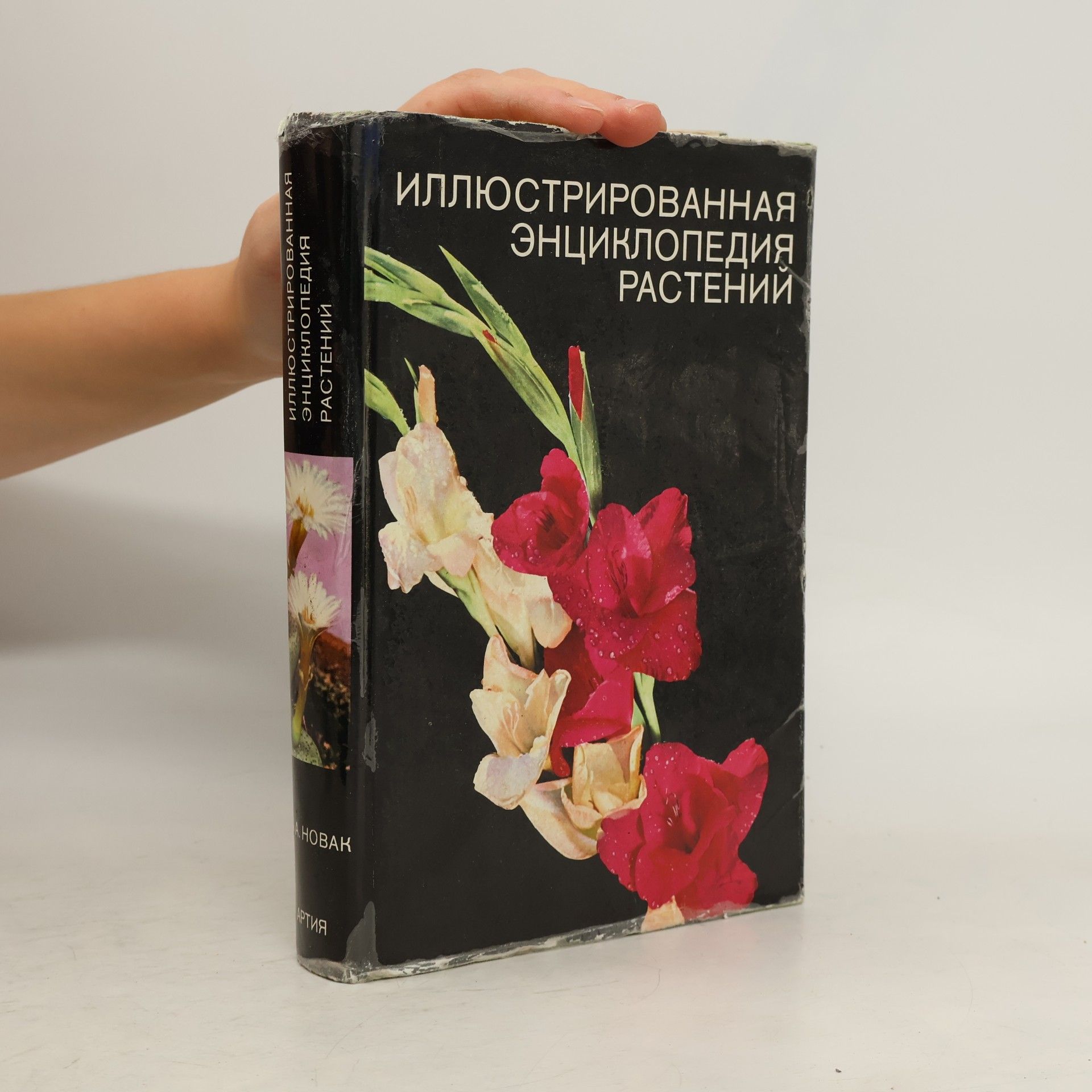 Иллюстрированная энциклопедия растений