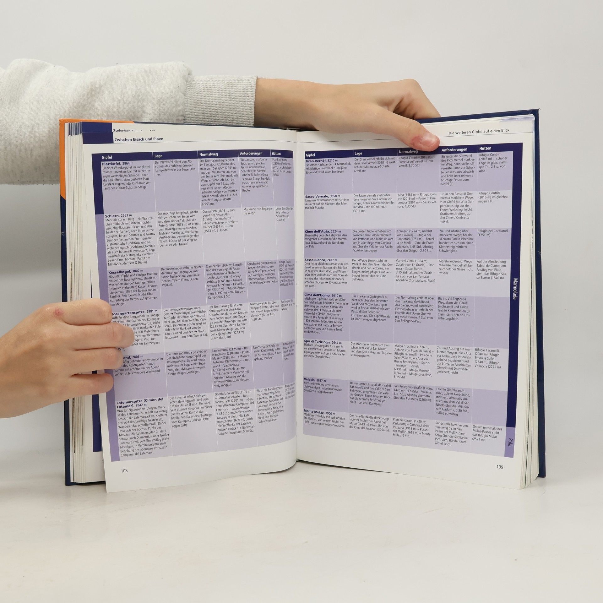 Eugen Eduard Hüsler Bruckmanns Gipfelatlas Alpen