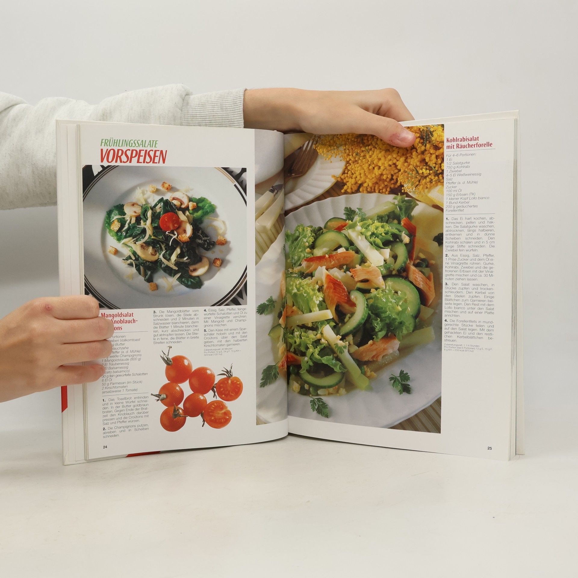 Autorenkollektiv Das grosse Buch der Salate