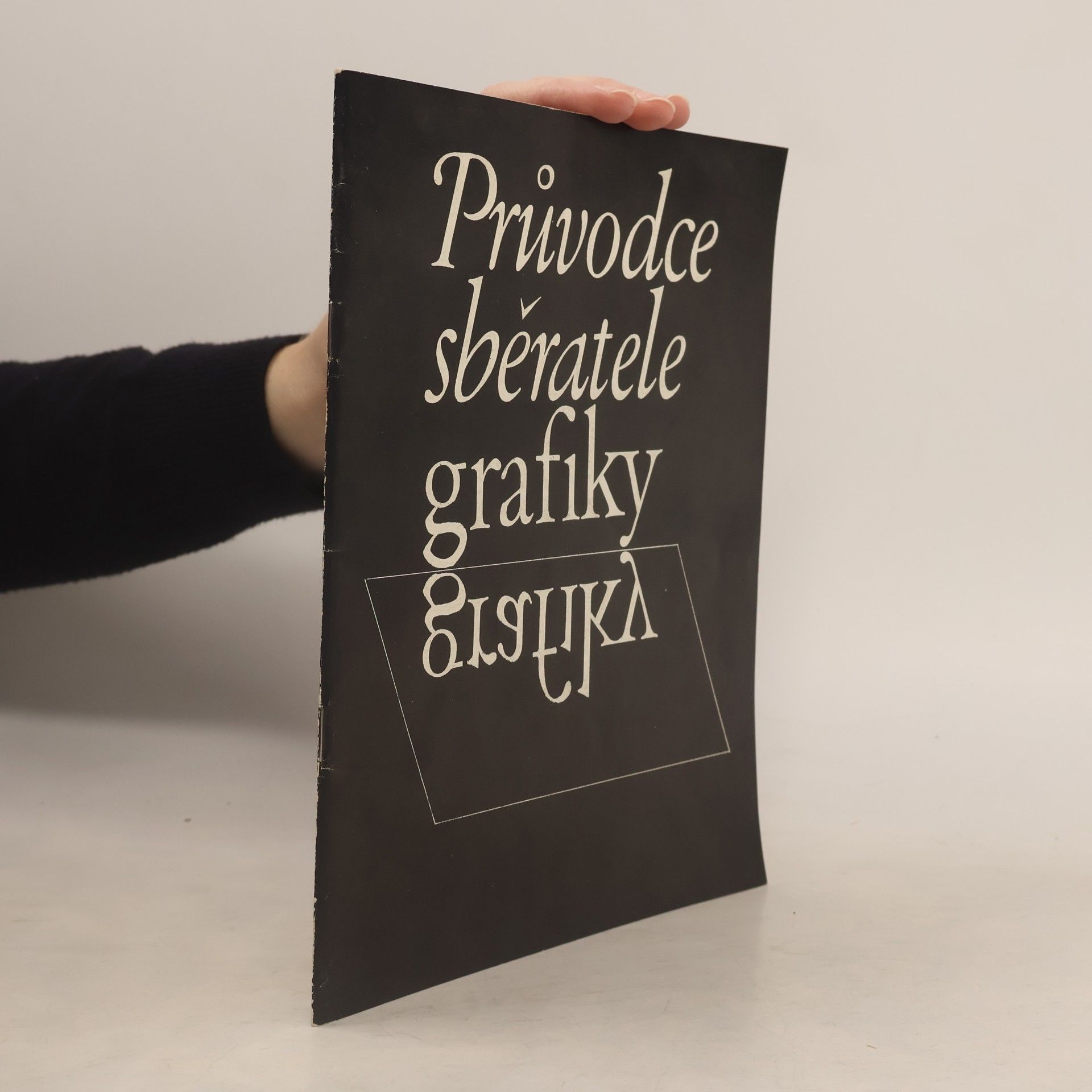 Alena Nádvorníková Průvodce sběratele grafiky