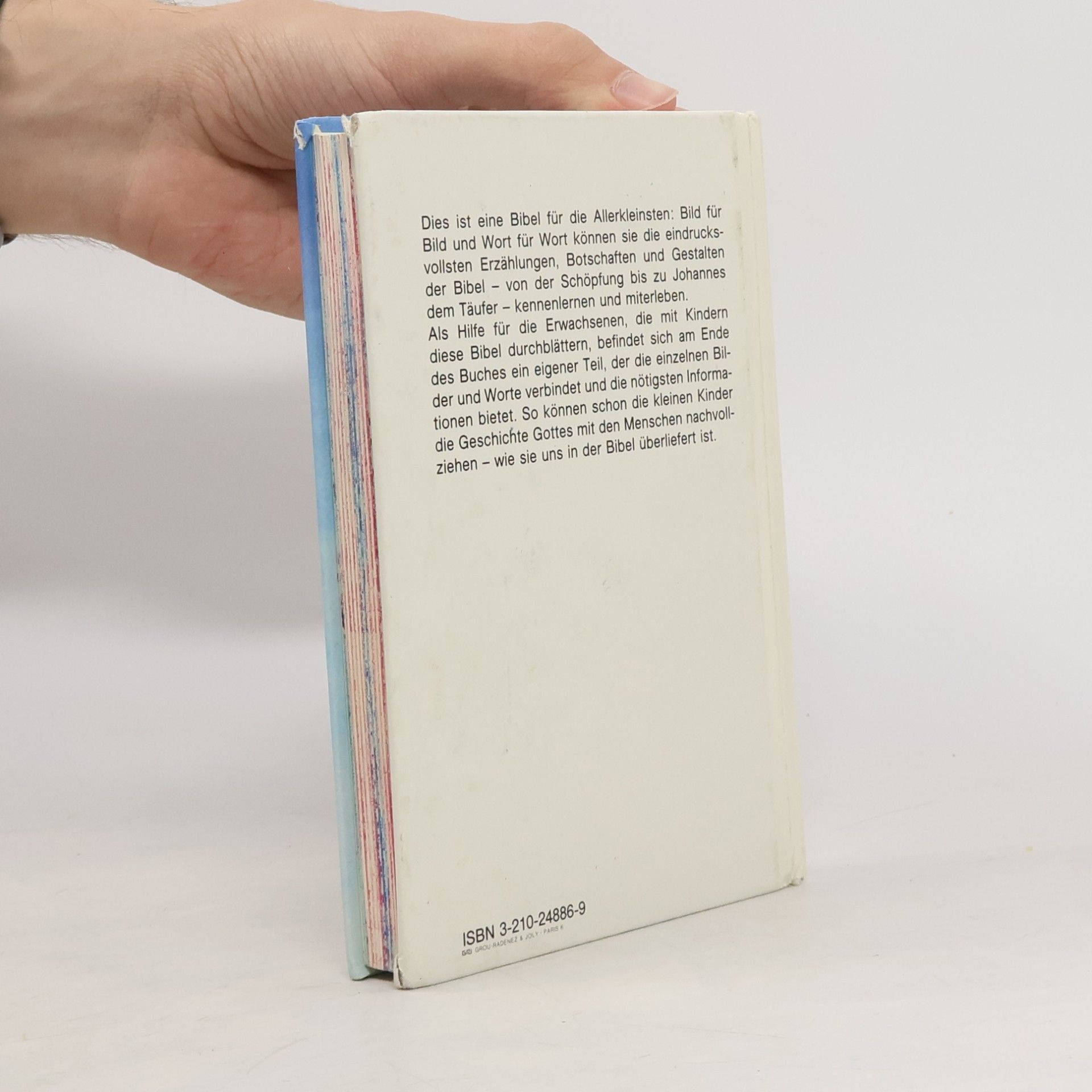 Meine erste Bibel in Bildern