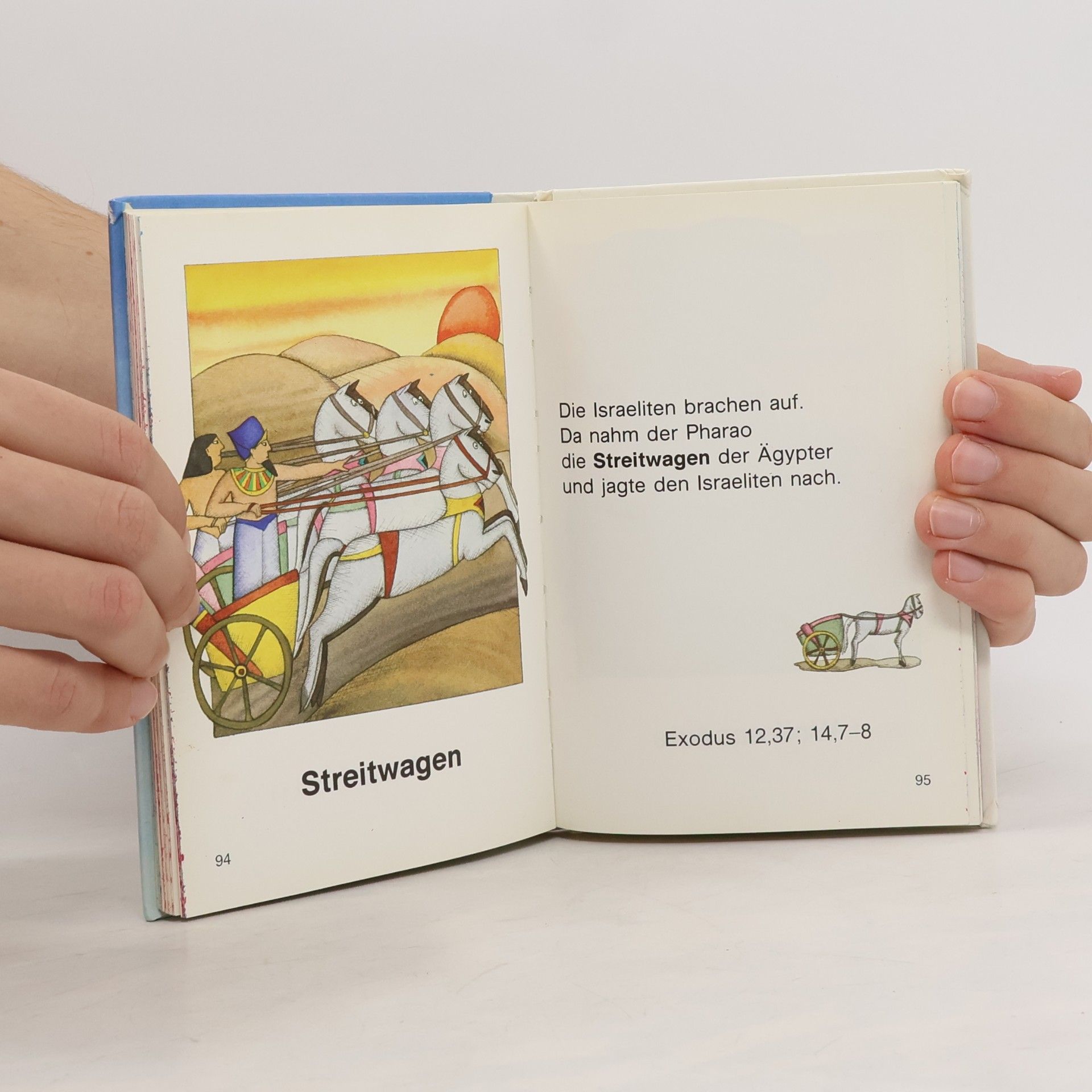 Meine erste Bibel in Bildern