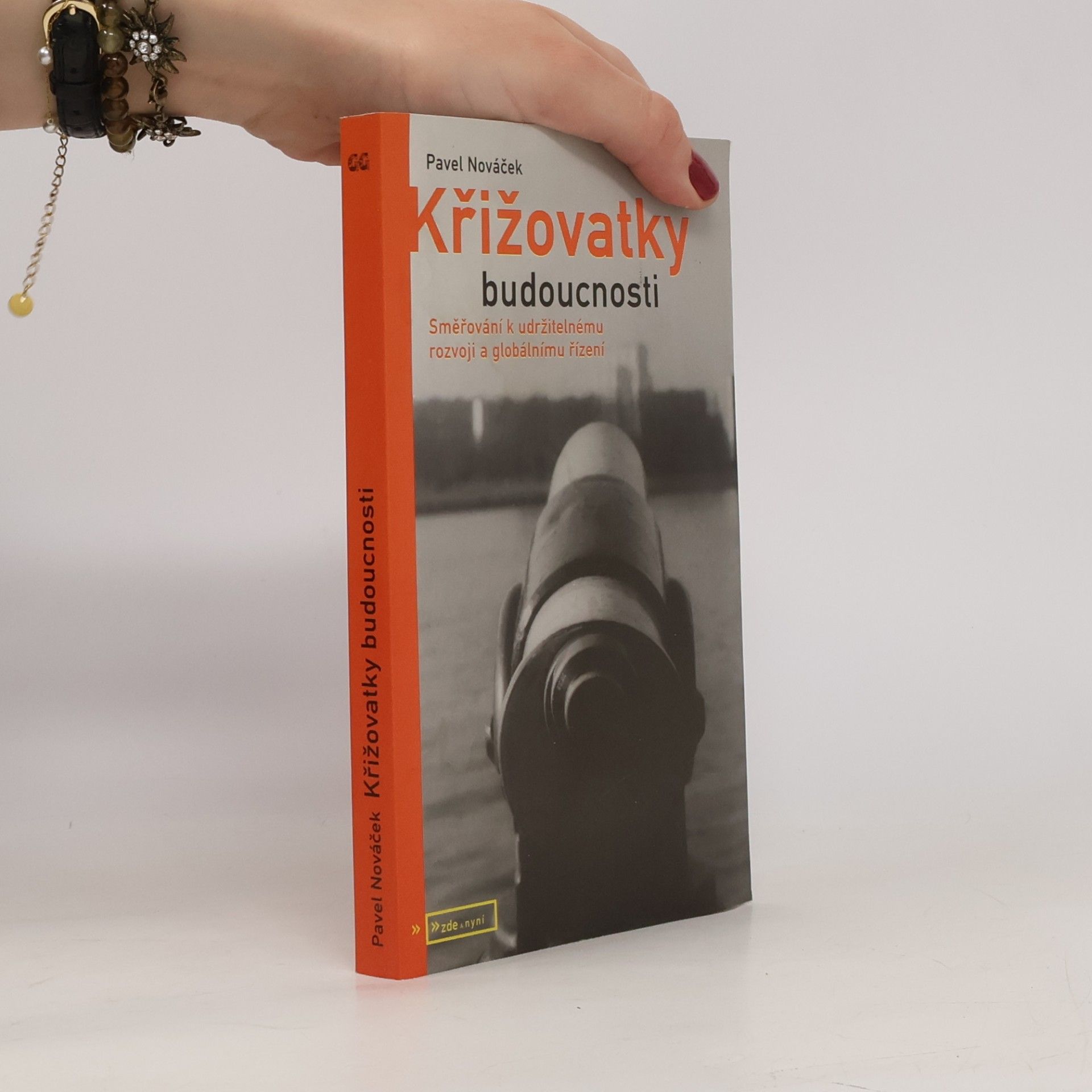 Pavel Nováček Křižovatky budoucnosti : směřování k udržitelnému rozvoji a globálnímu řízení