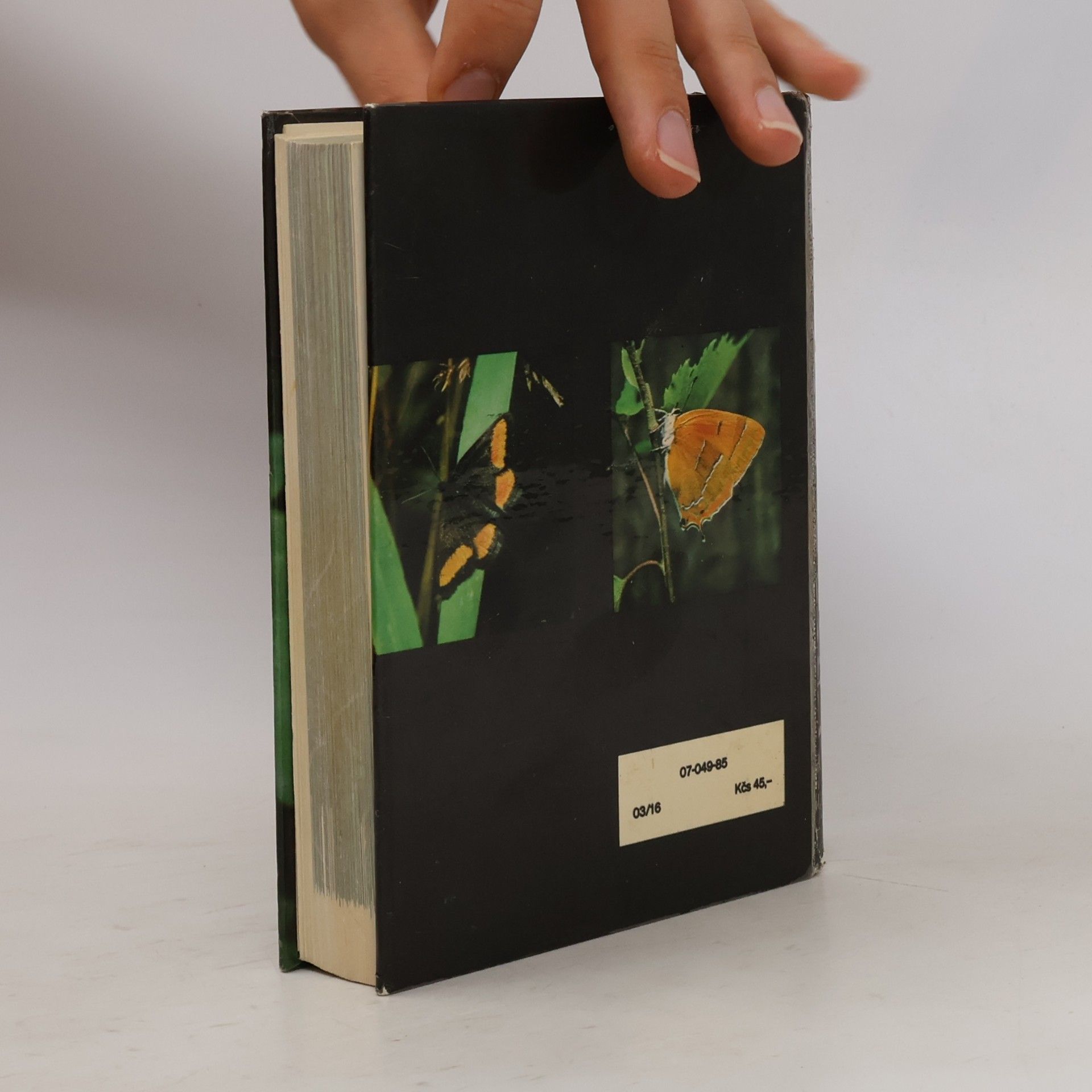 Rudolf Hrabák Kapesní atlas našich motýlů