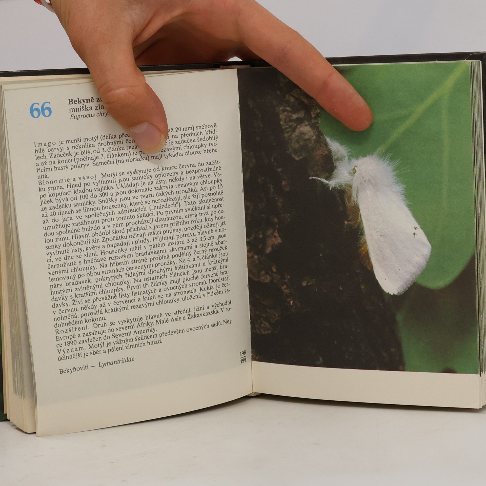 Rudolf Hrabák Kapesní atlas našich motýlů