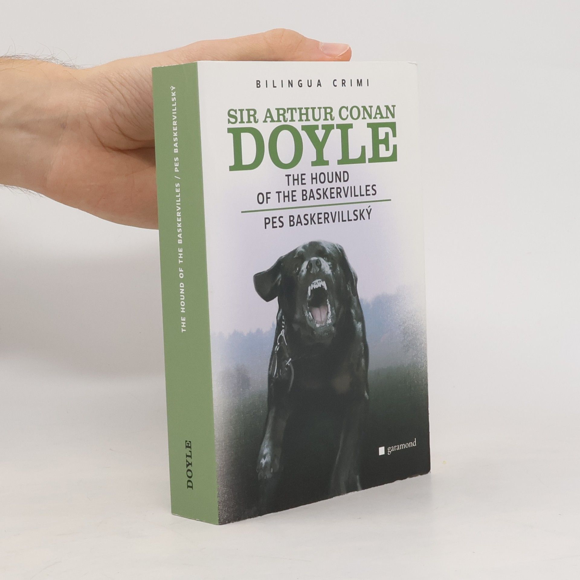 Arthur Conan Doyle The Hound of The Baskervilles. Pes baskervillský