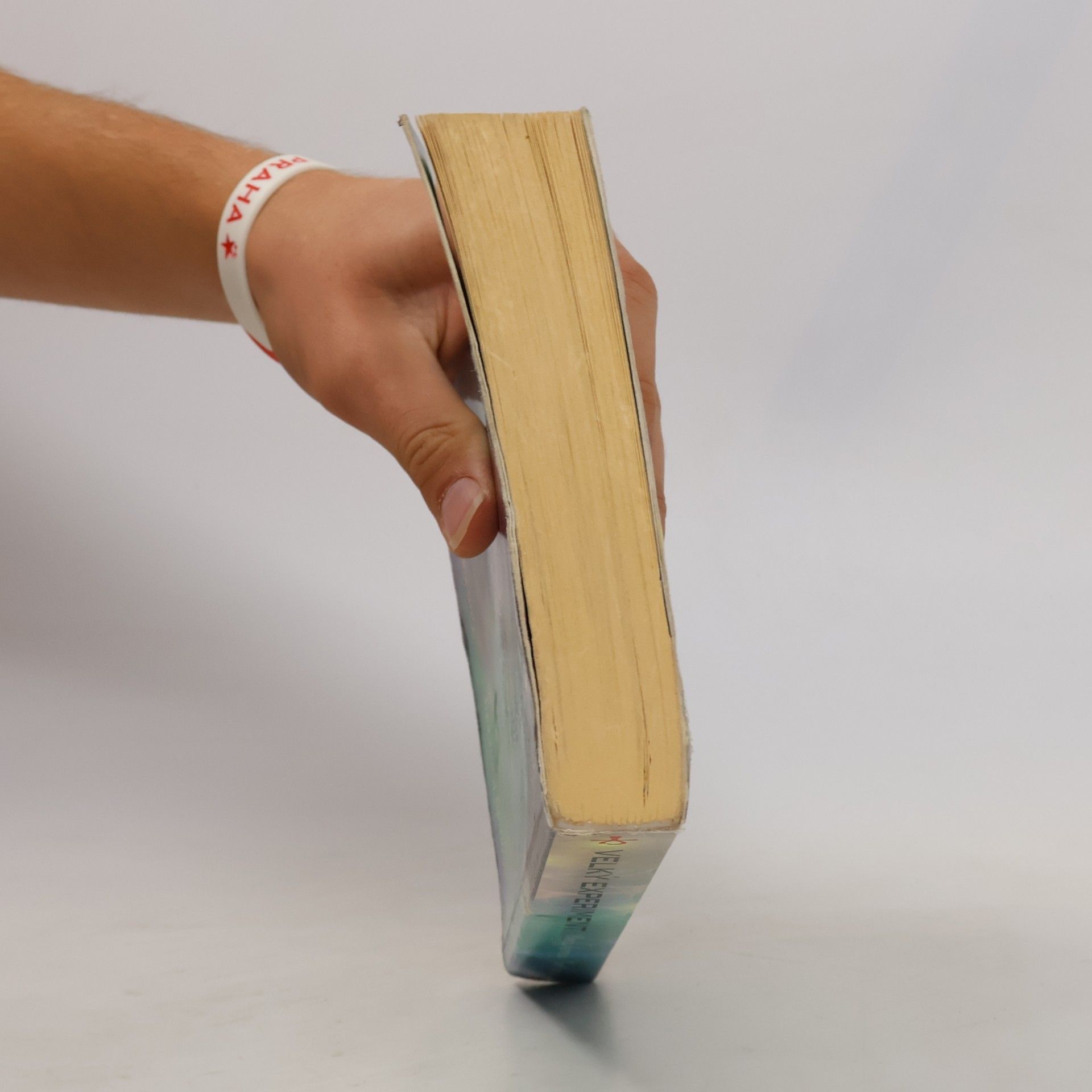 Wendy Kennedy Velký experiment: Z pohledu Hathorů a Plejáďanů deváté dimenze