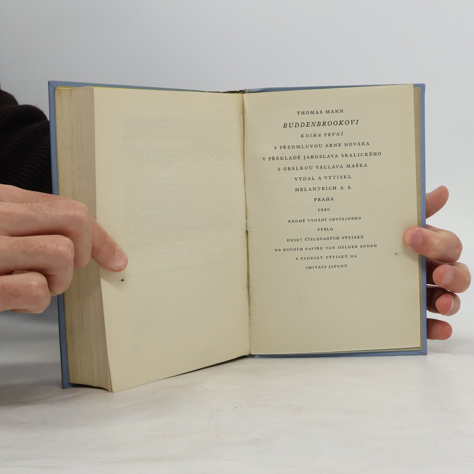 Thomas Mann Buddenbrookovi 1