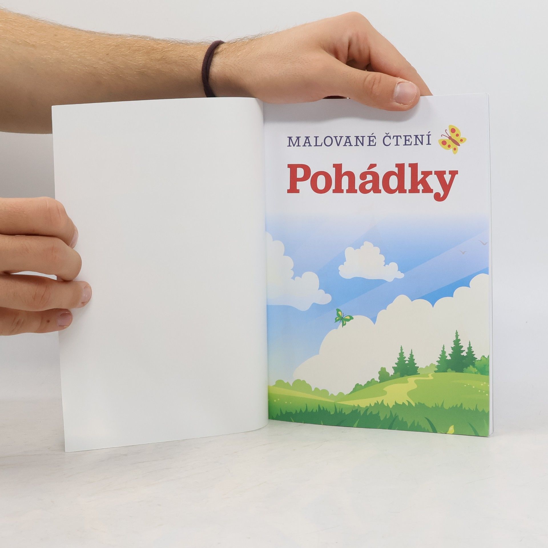 Marie Hamáková Malované čtení. Pohádky