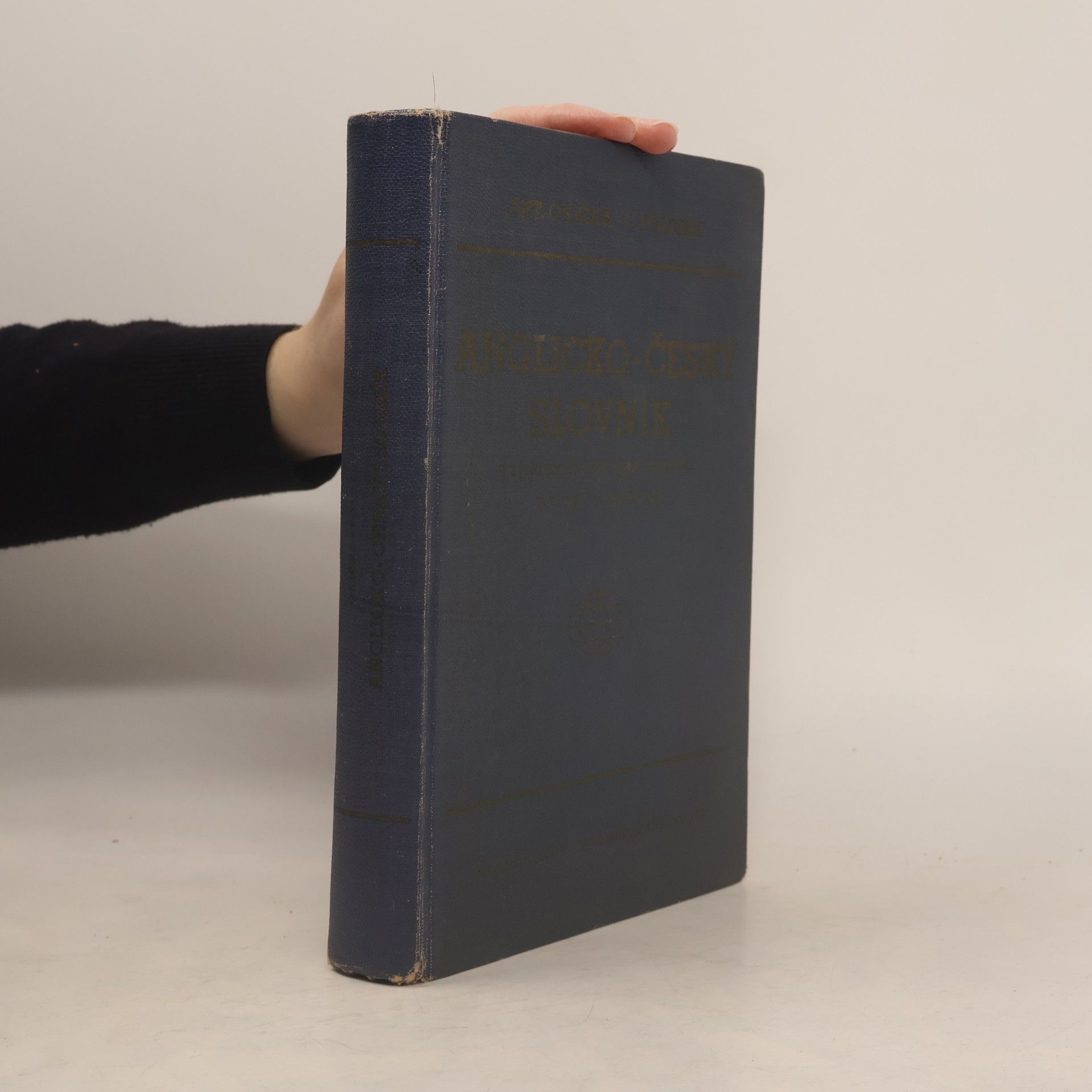 Autorenkollektiv Anglicko-český slovník