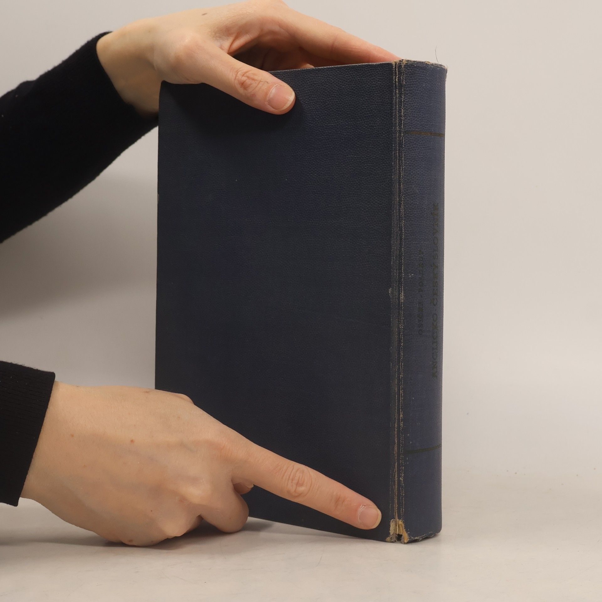 Autorenkollektiv Anglicko-český slovník