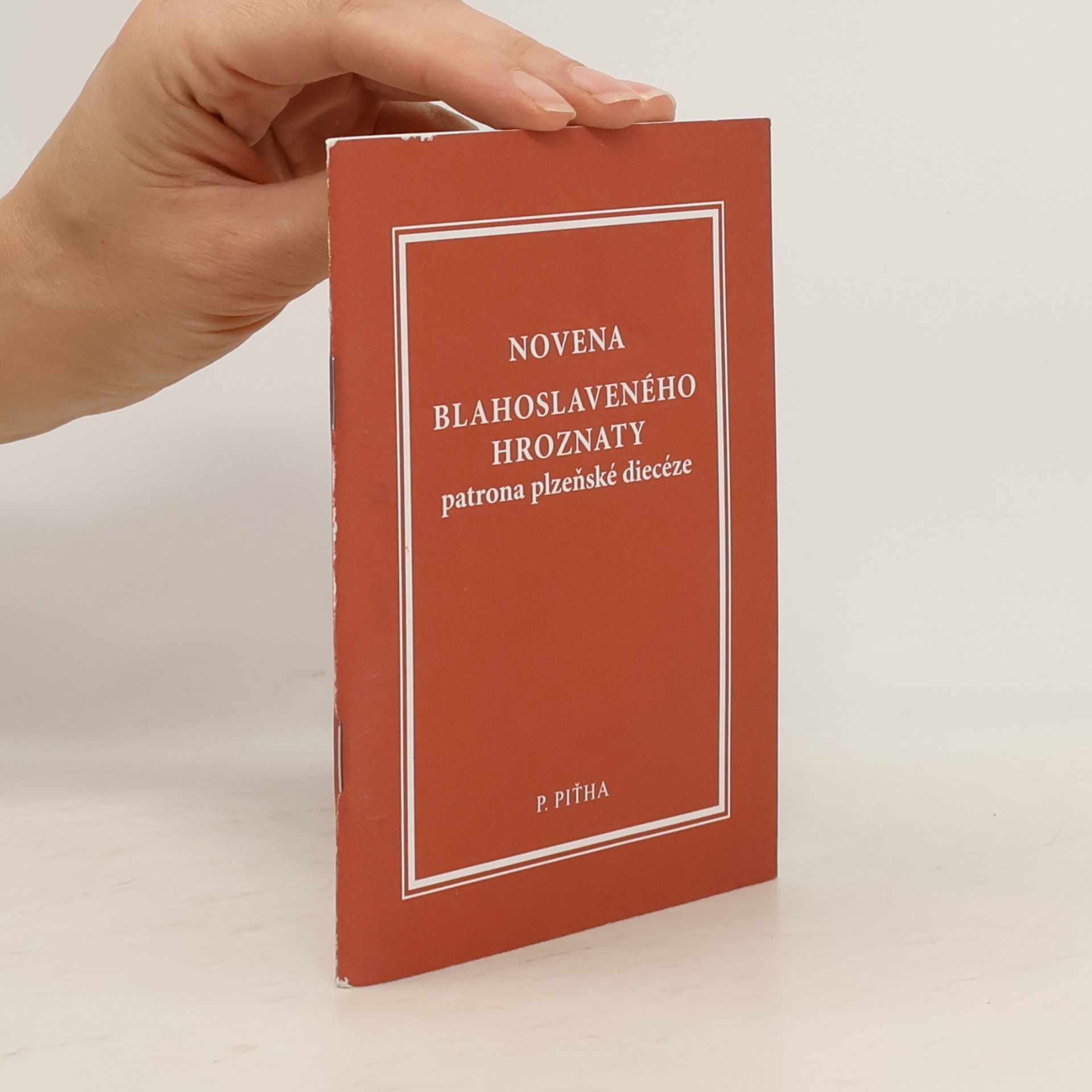 Novena blahoslaveného Hroznaty, patrona plzeňské diecéze