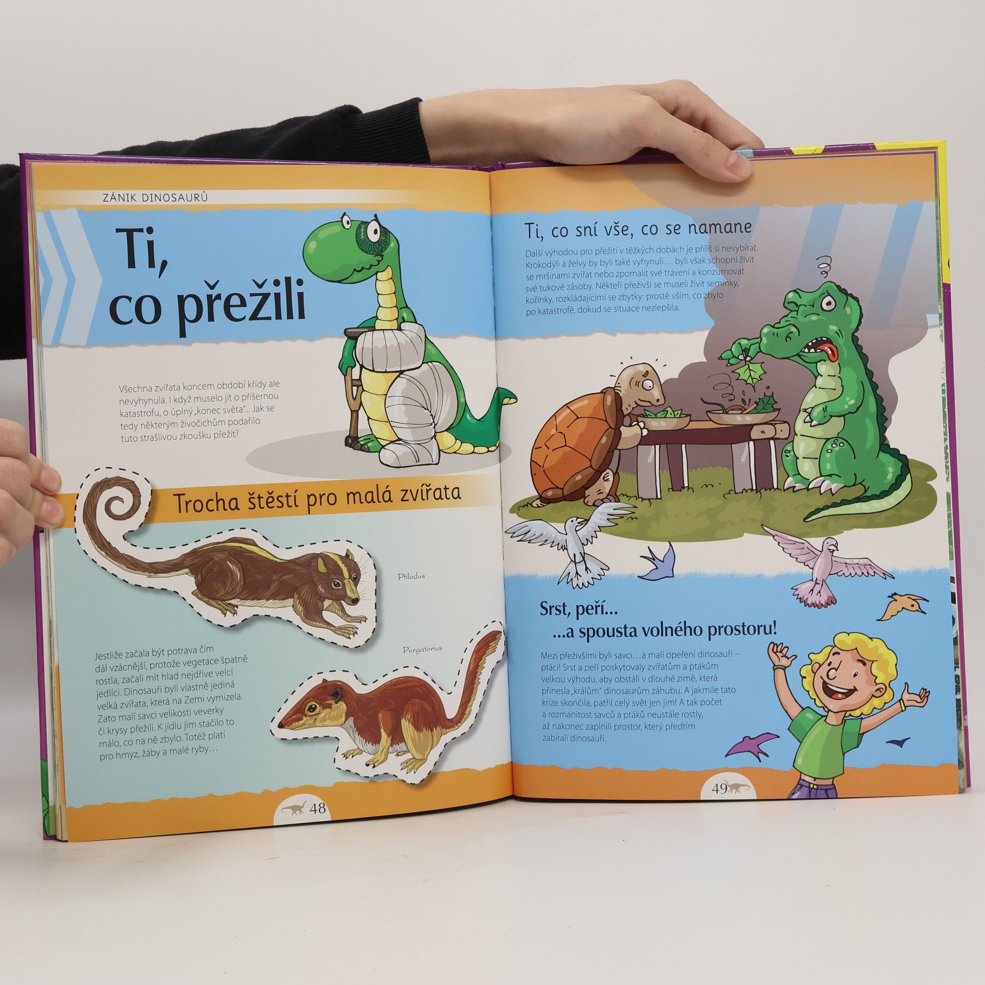 Autorenkollektiv Poznáváme dinosaury