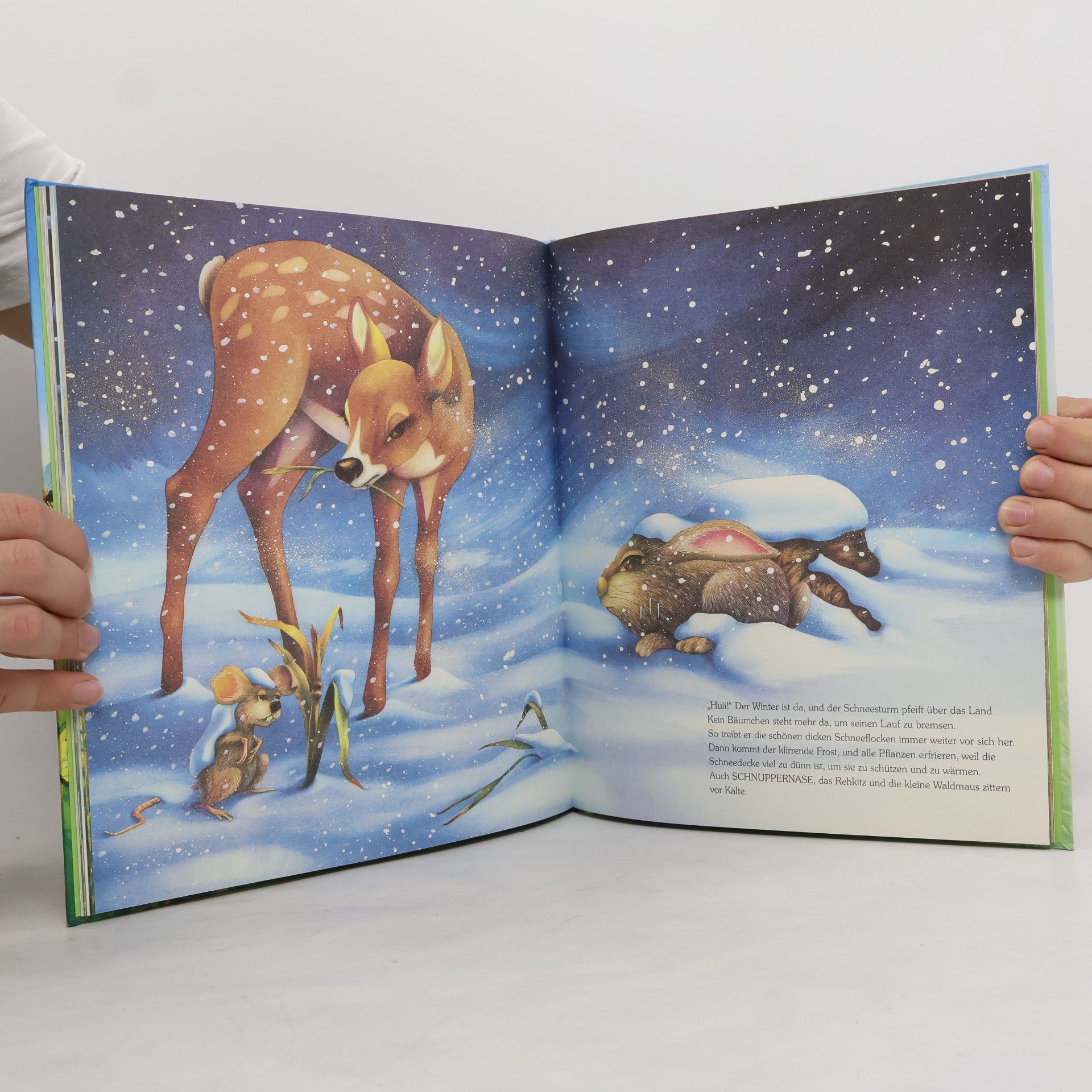 Günther Aloys Der kleine große Tannenbaum. Kinder pflanzen einen Wald, der Wald der Kinder