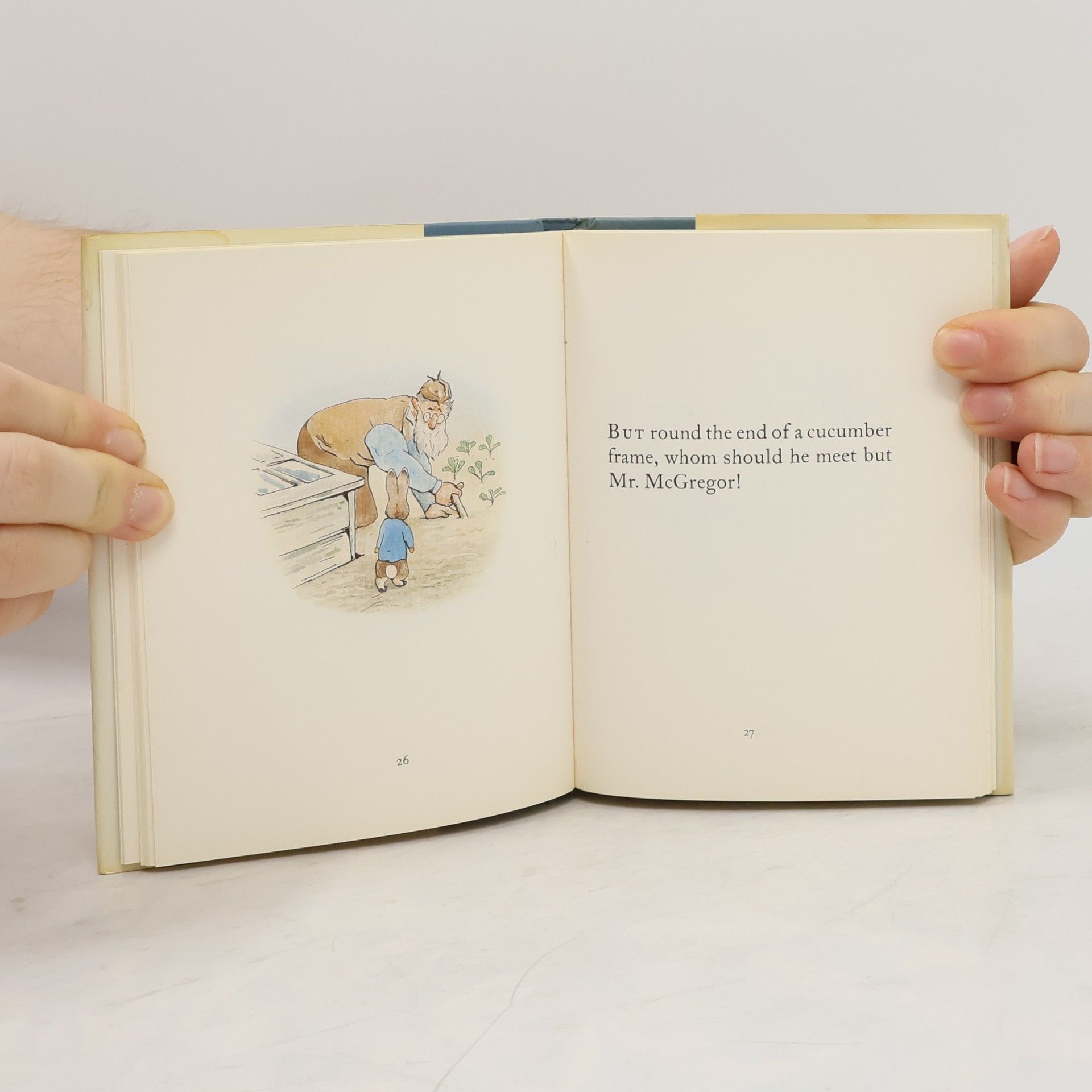 Beatrix Potter The Tale of Peter Rabbit