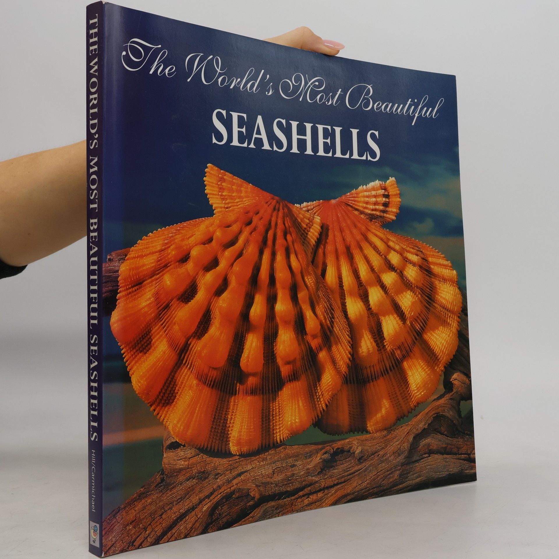 The World's Most Beautiful Seashells